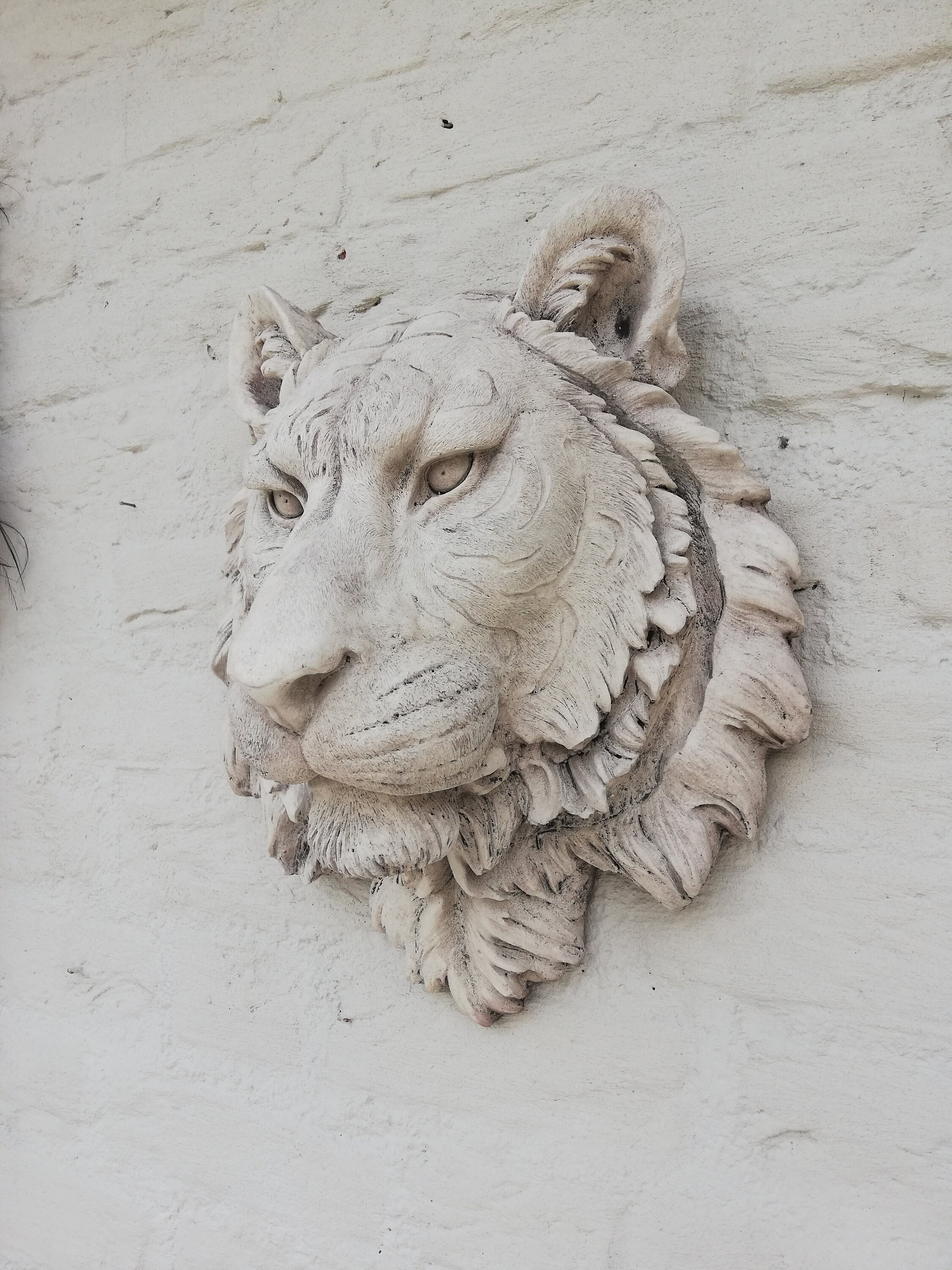 Tiger head Wall mounted