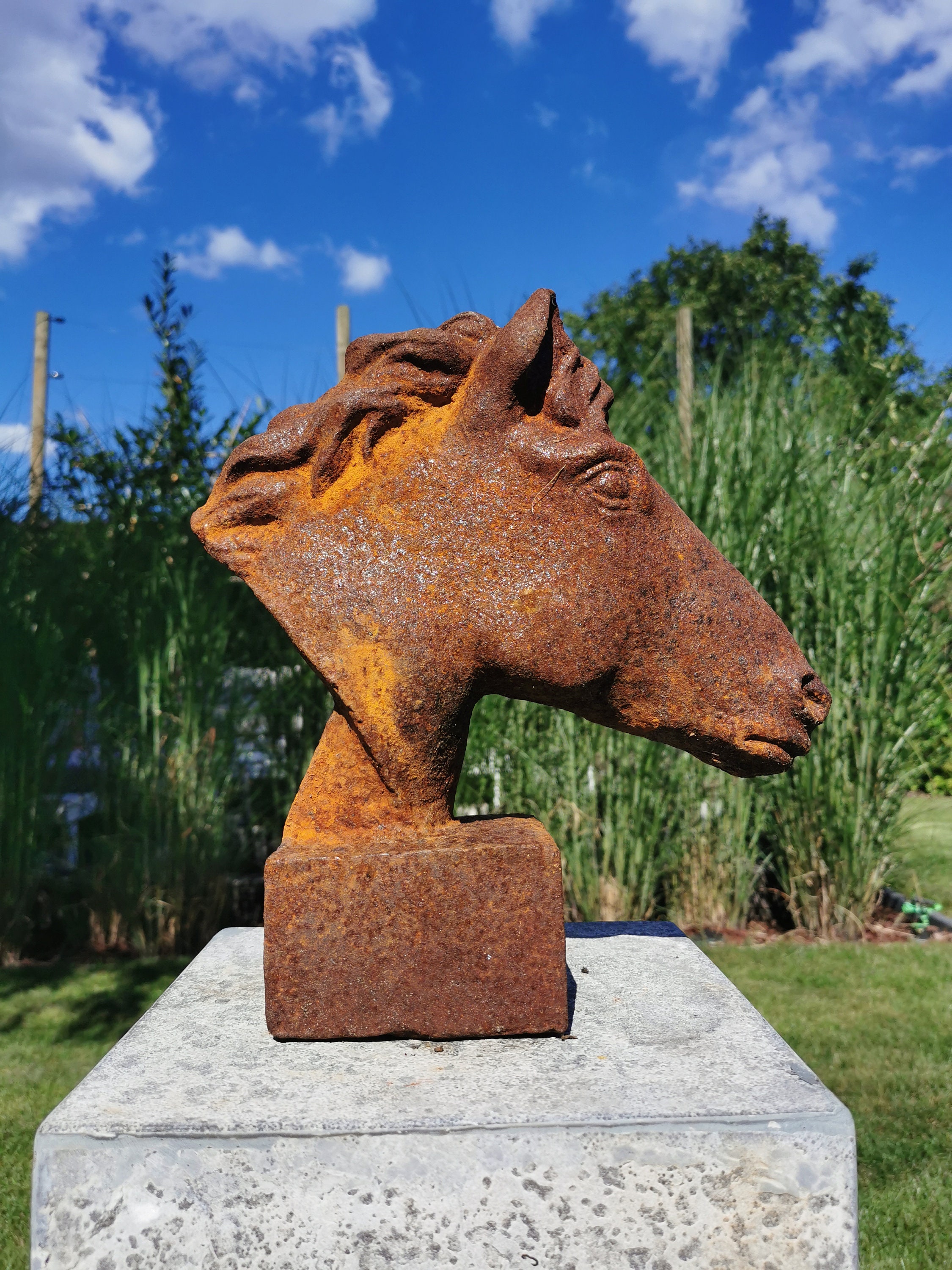 Cast iron garden statue of a horse head Horse bust