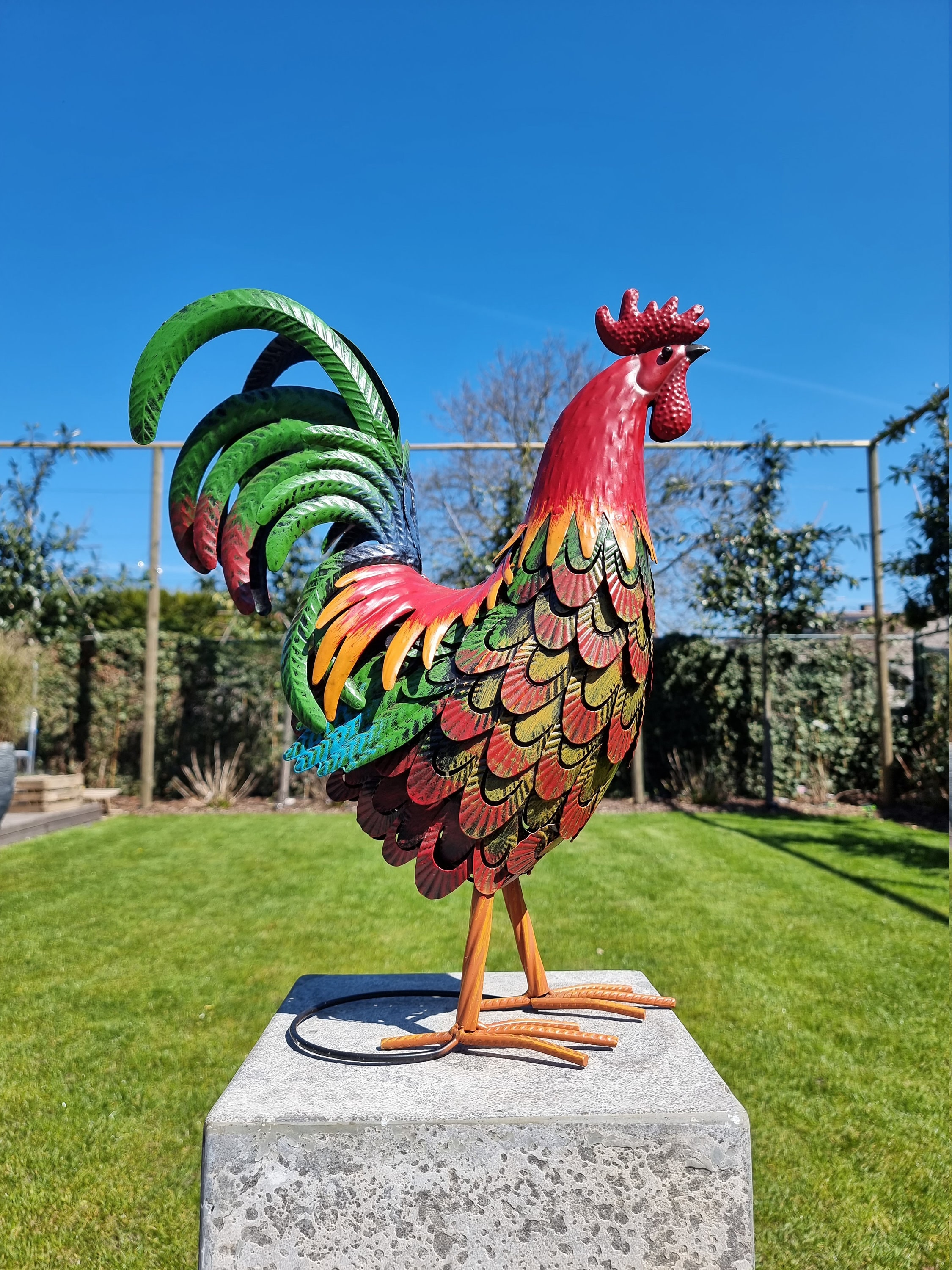 Metal Chicken ( Garden Sculpture)