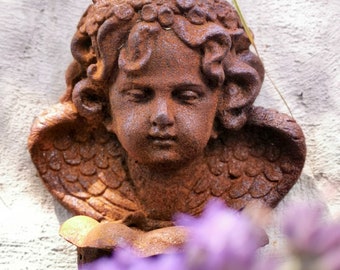 Beautiful garden ornament - Antique garden furnishings - Cast iron wall ornament