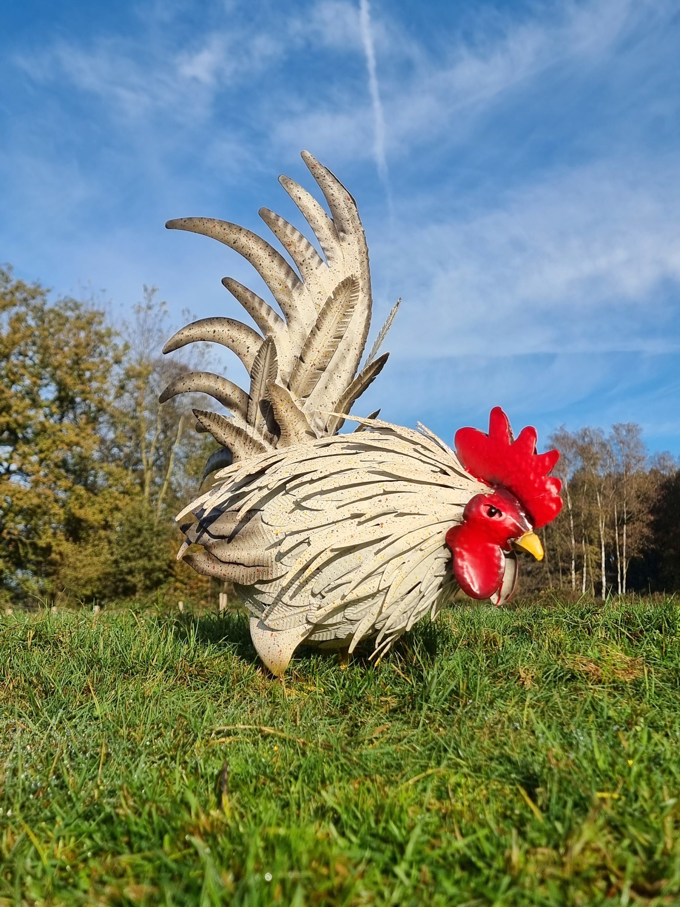 Poules décoratives pour le jardin !  Papier mâché, Art de poulet, Art  artisanat