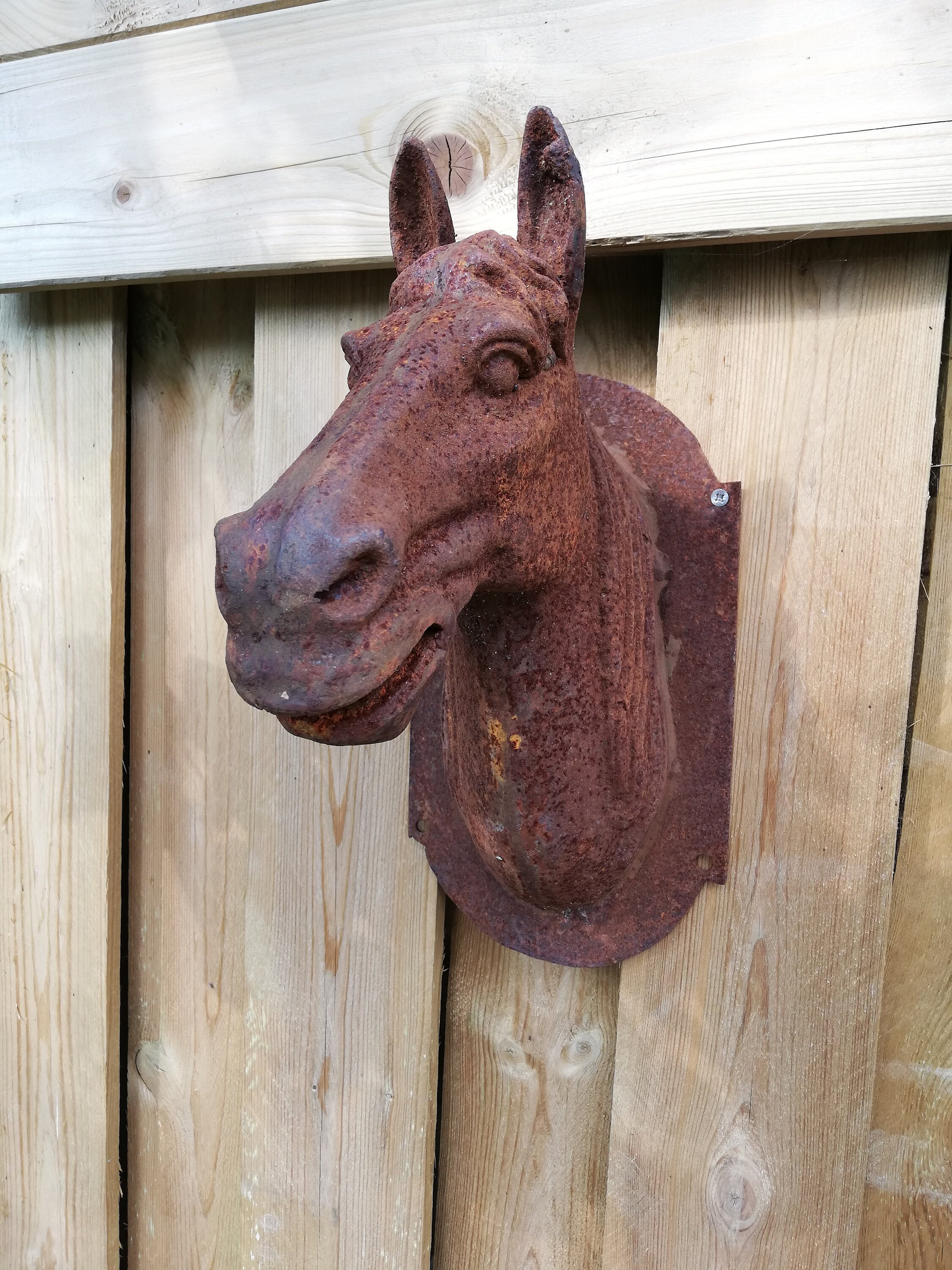 Wall sculpture of a horse head Garden / Patio