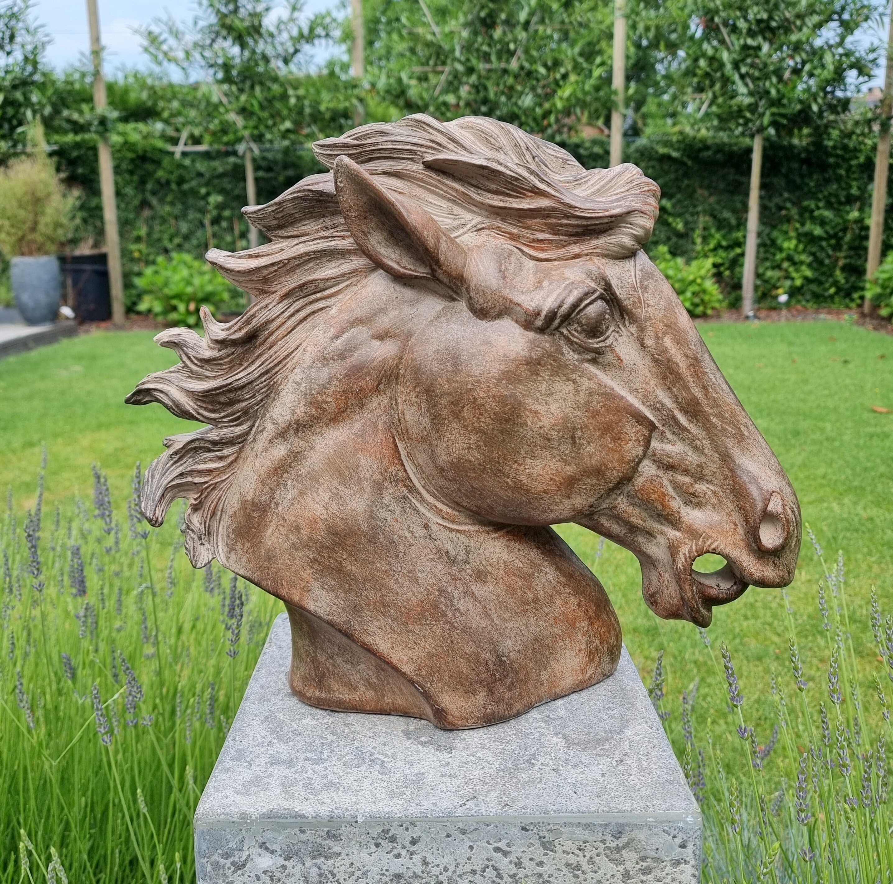 Decorative Horse Head Horse Bust Horse Sculptures