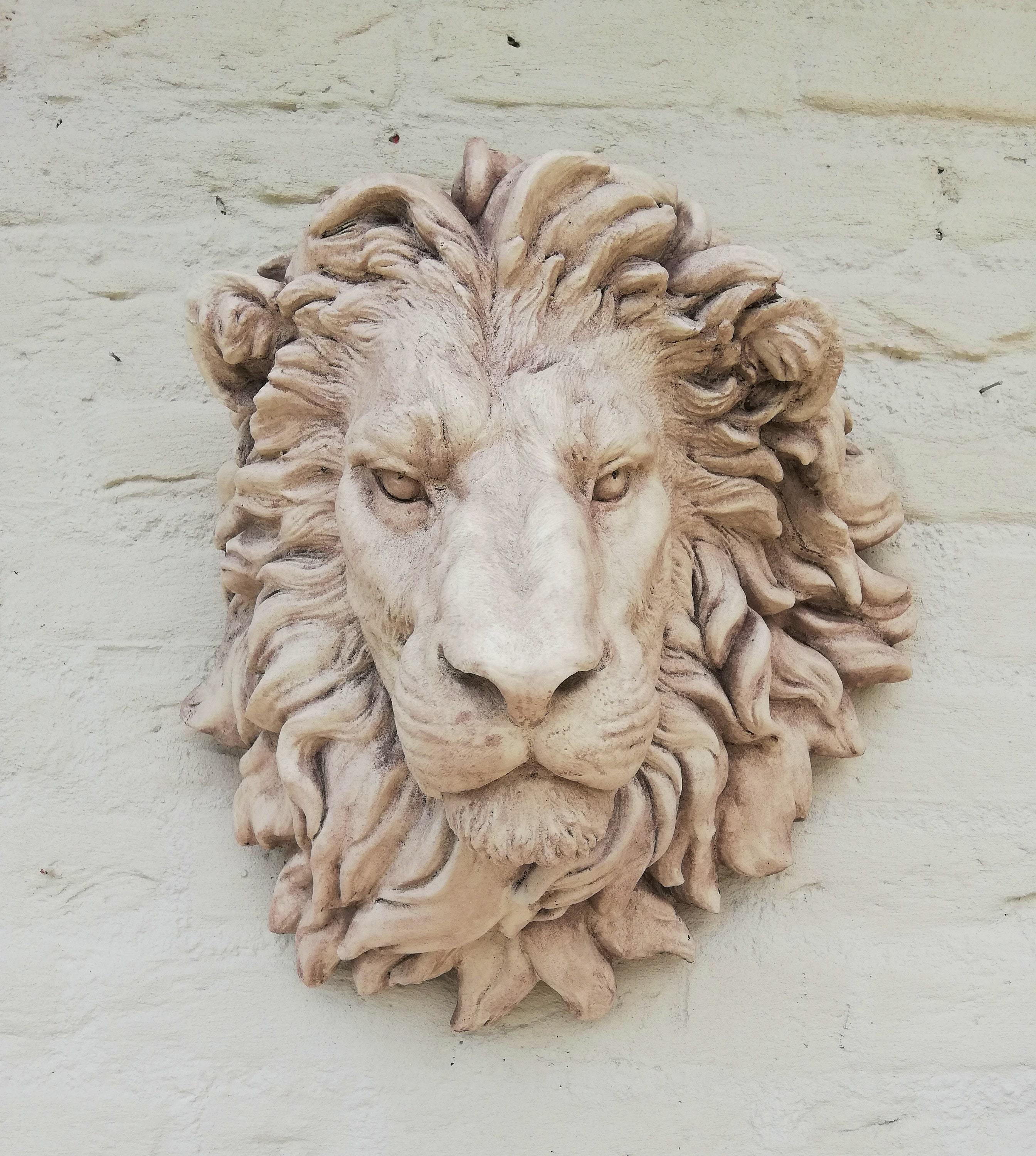 Large lion head Wall mounted