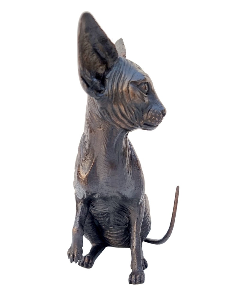 Bronze Sphynx Cat Lifelike Detailed Bronze Cats image 7