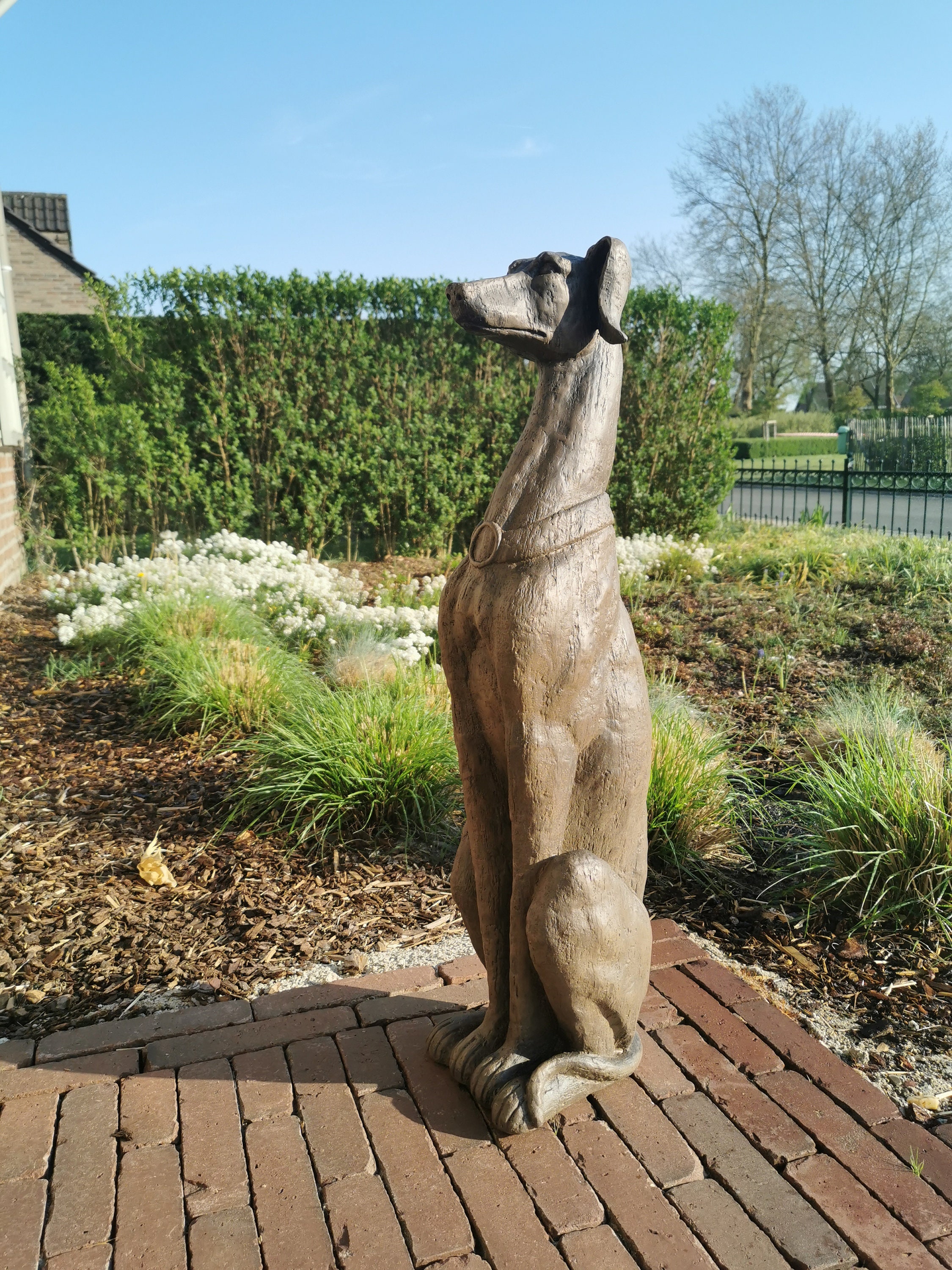 Amazing greyhound sculpture borzoi statue XL Entryway statue