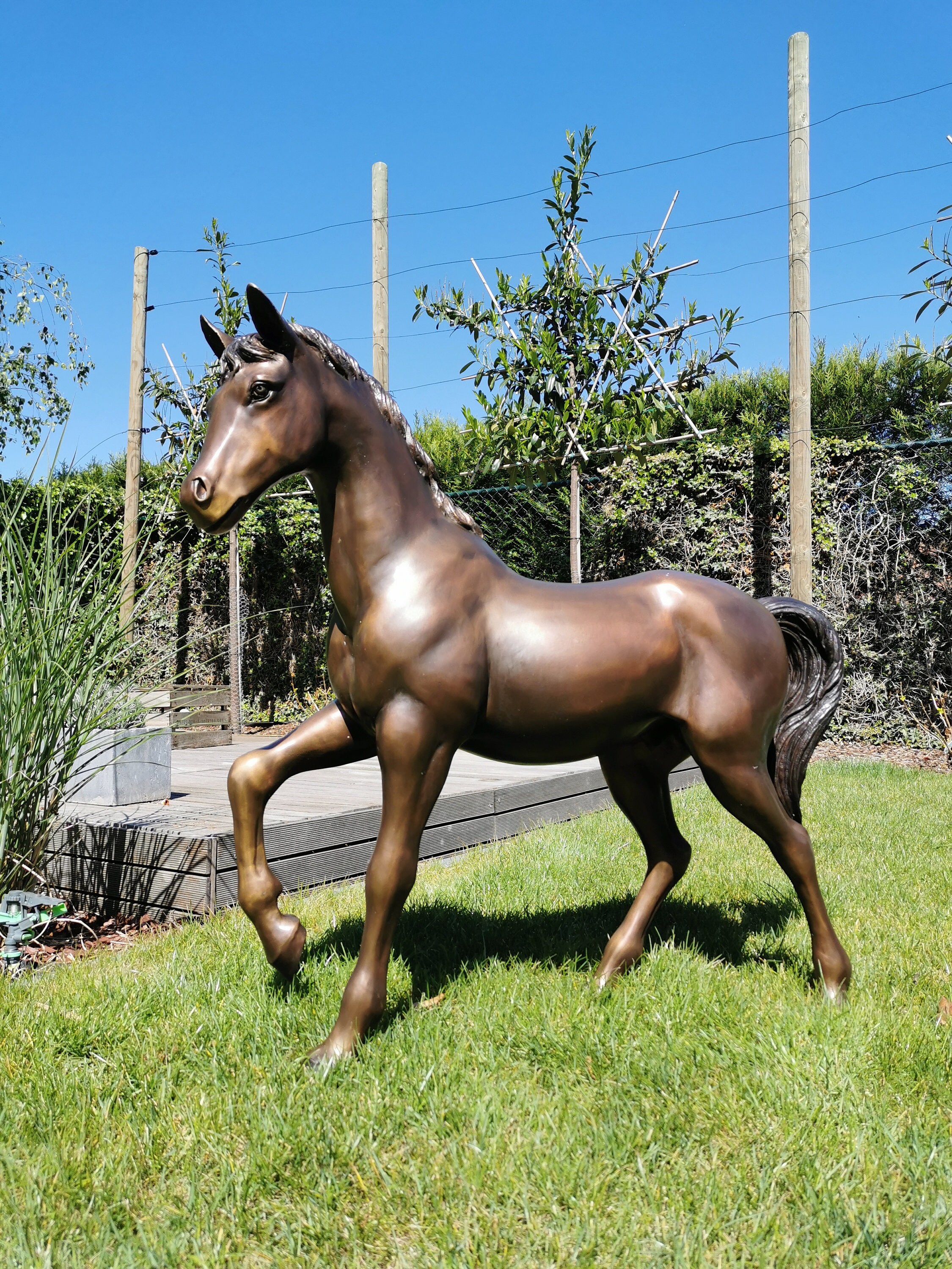 Very large sculpture of a horse Bronze Lifelike foal Bronze