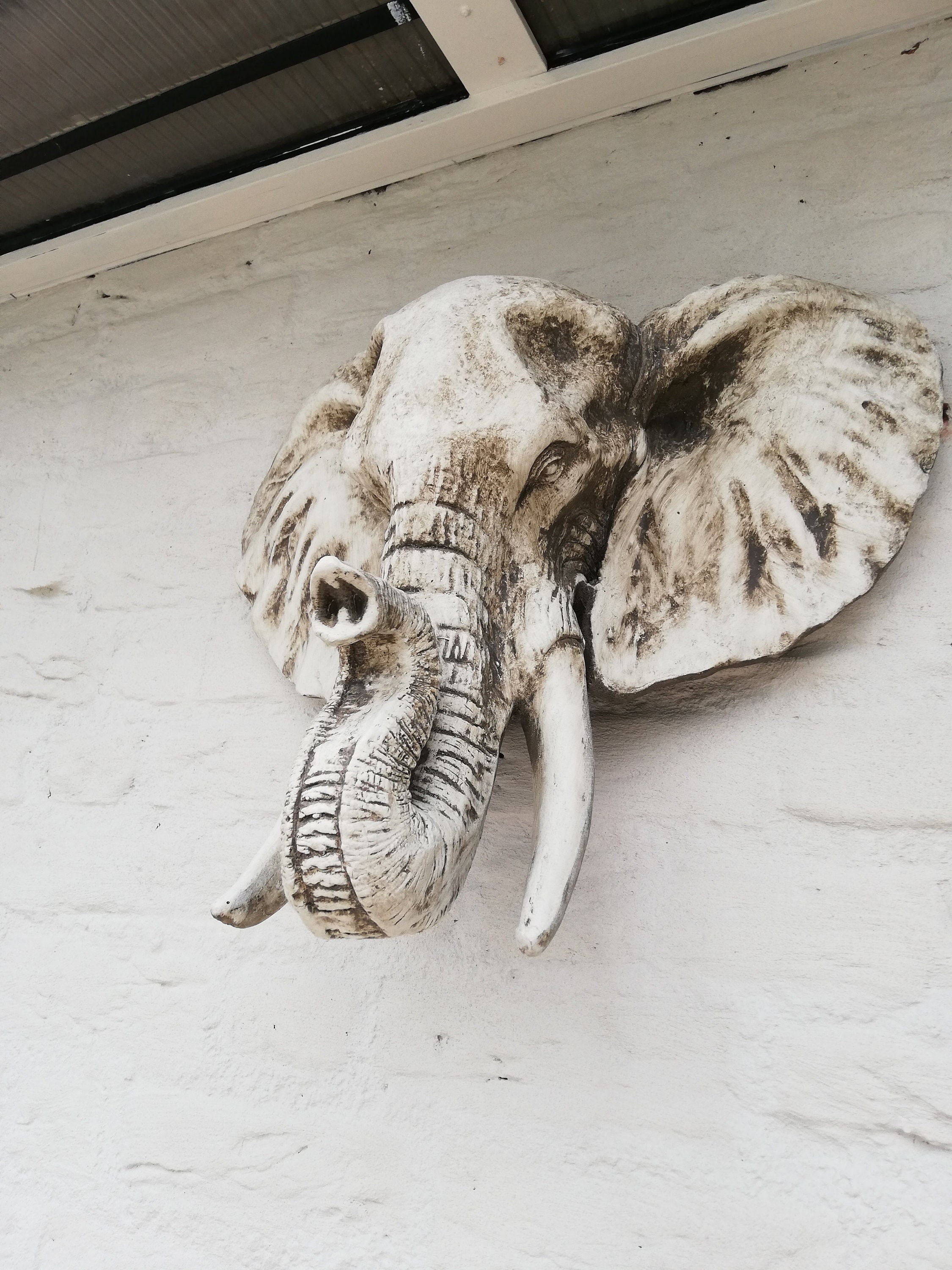 Elephant head Wall mounted