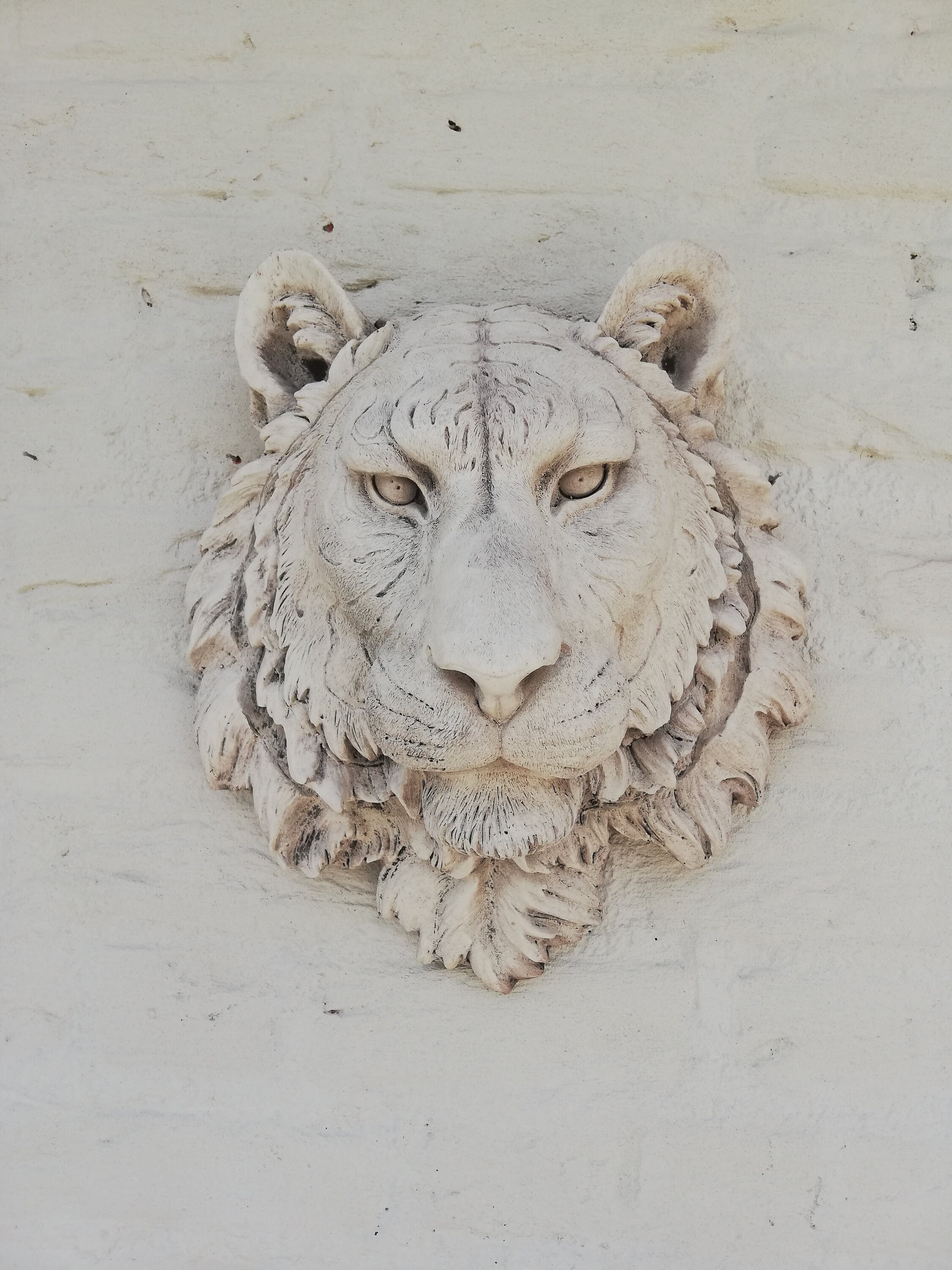 Home & Living Large tiger head Wall mounted animal head Wall Hangings