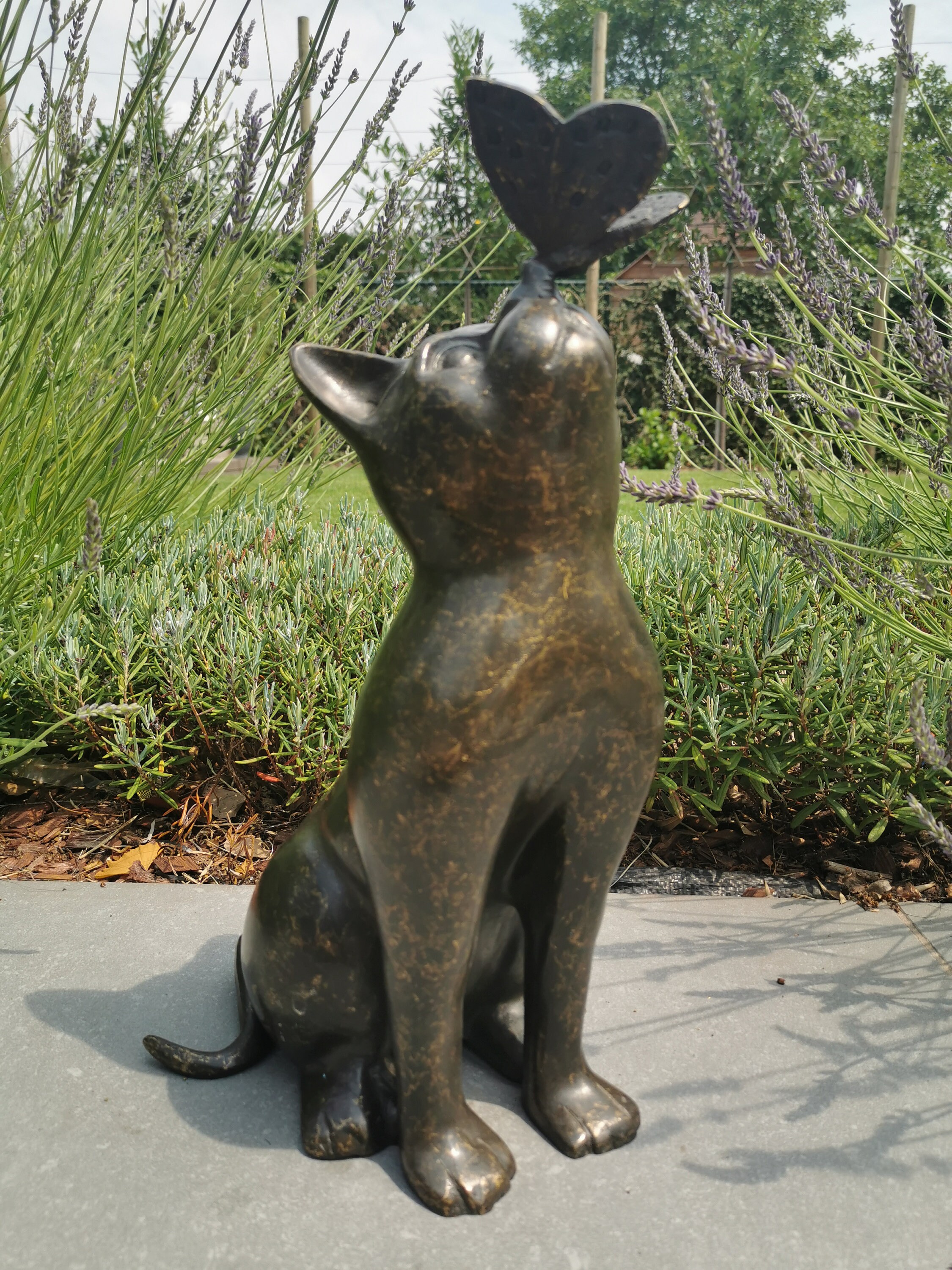 Beautiful bronze sculpture of a cat with a butterfly on it's nose