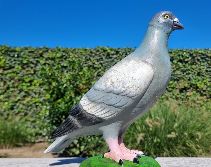 Cast iron pigeon - Lifelike iron pigeon - Terrace and garden decoration - Sculptures of birds and pigeons