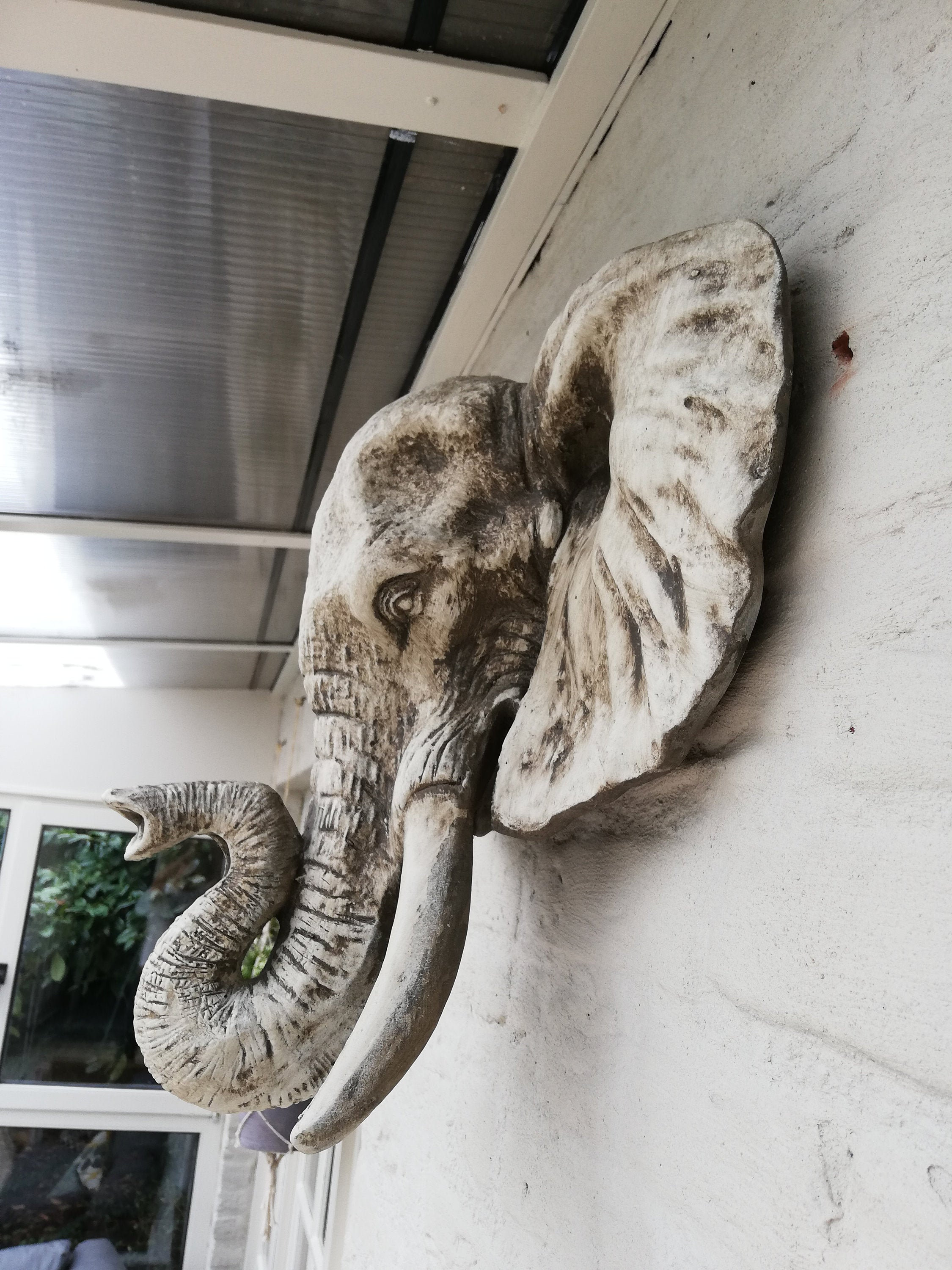 Elephant head - Wall mounted
