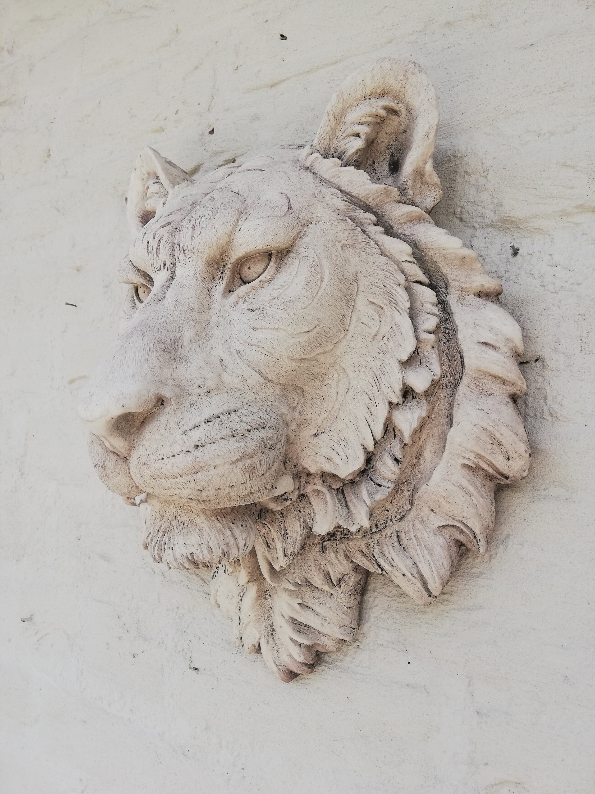 Tiger head Wall mounted