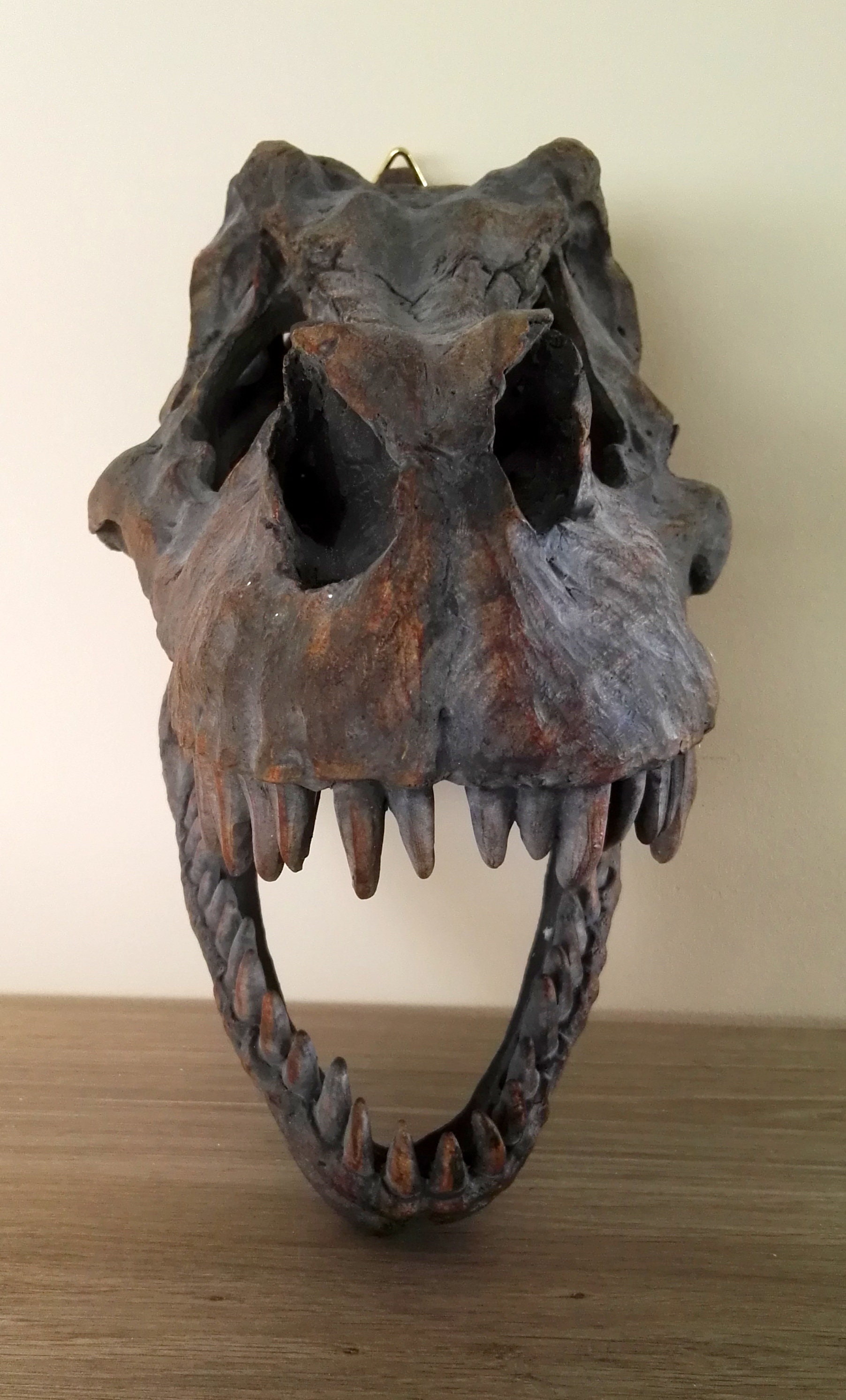 A Large T-rex skull - Wall mounted - Dinosaur head