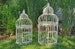 Garden decor - decorative white bird cages 