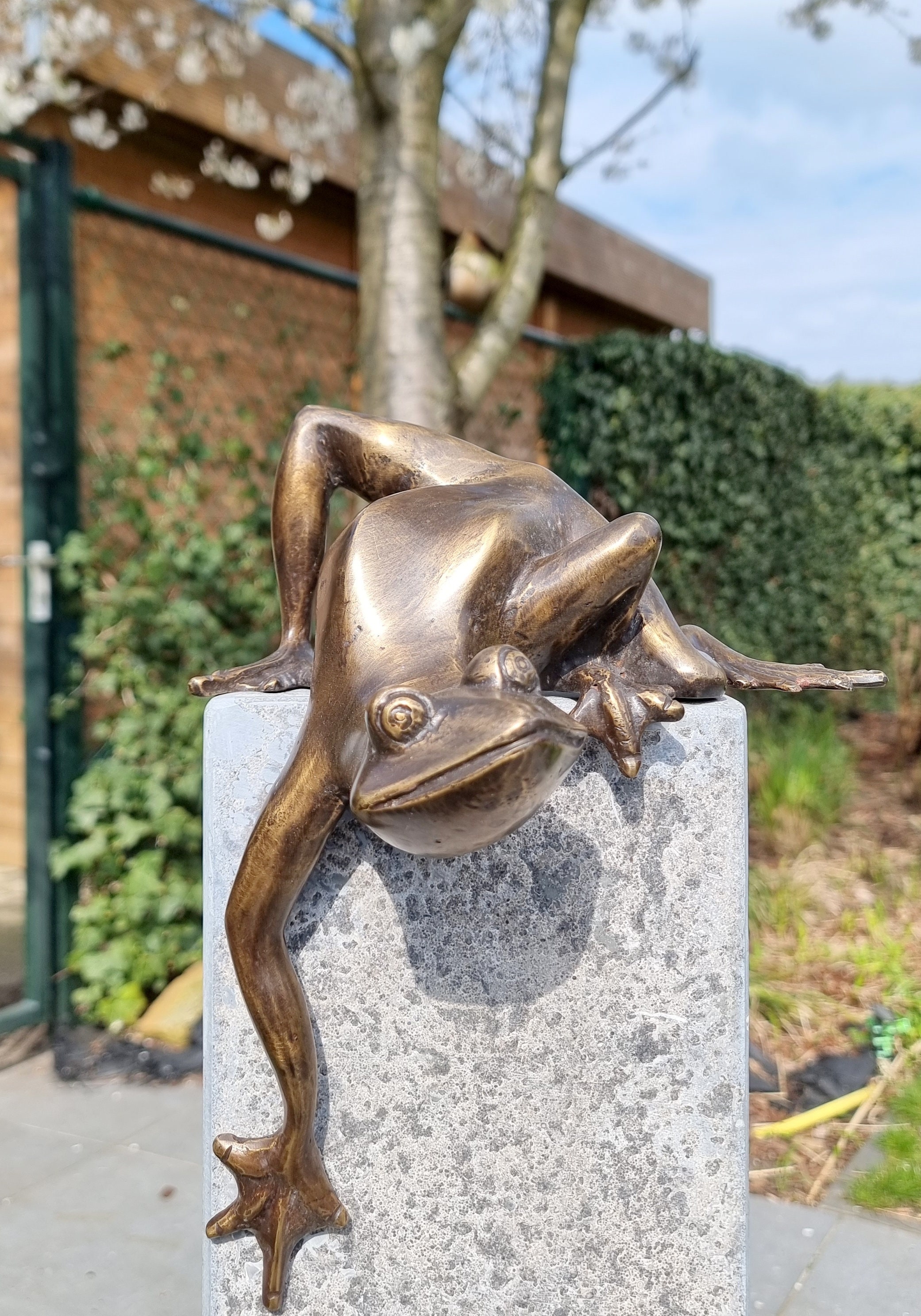 Garden Frog Statue 