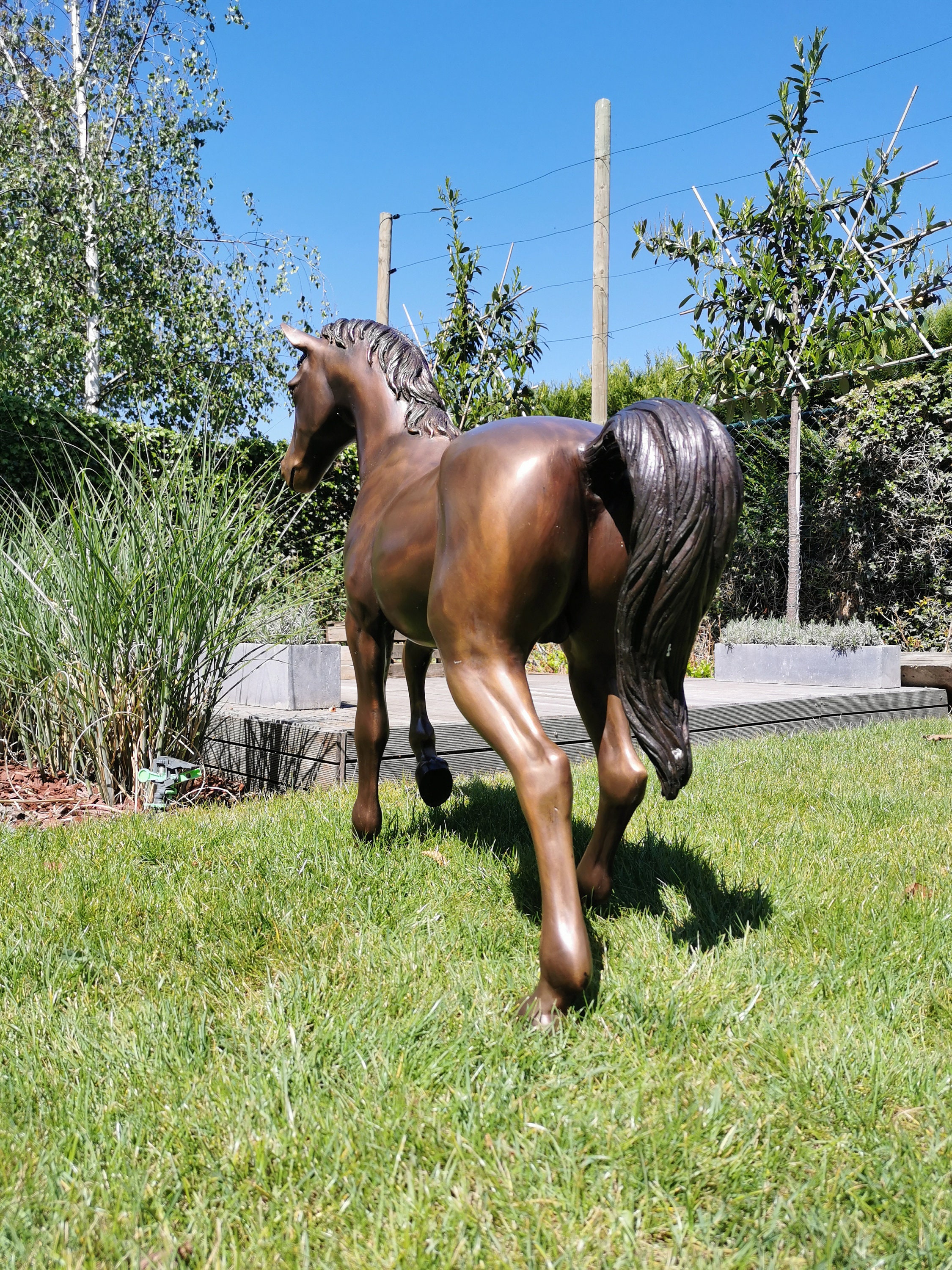 Very large sculpture of a horse Bronze Lifelike foal Bronze
