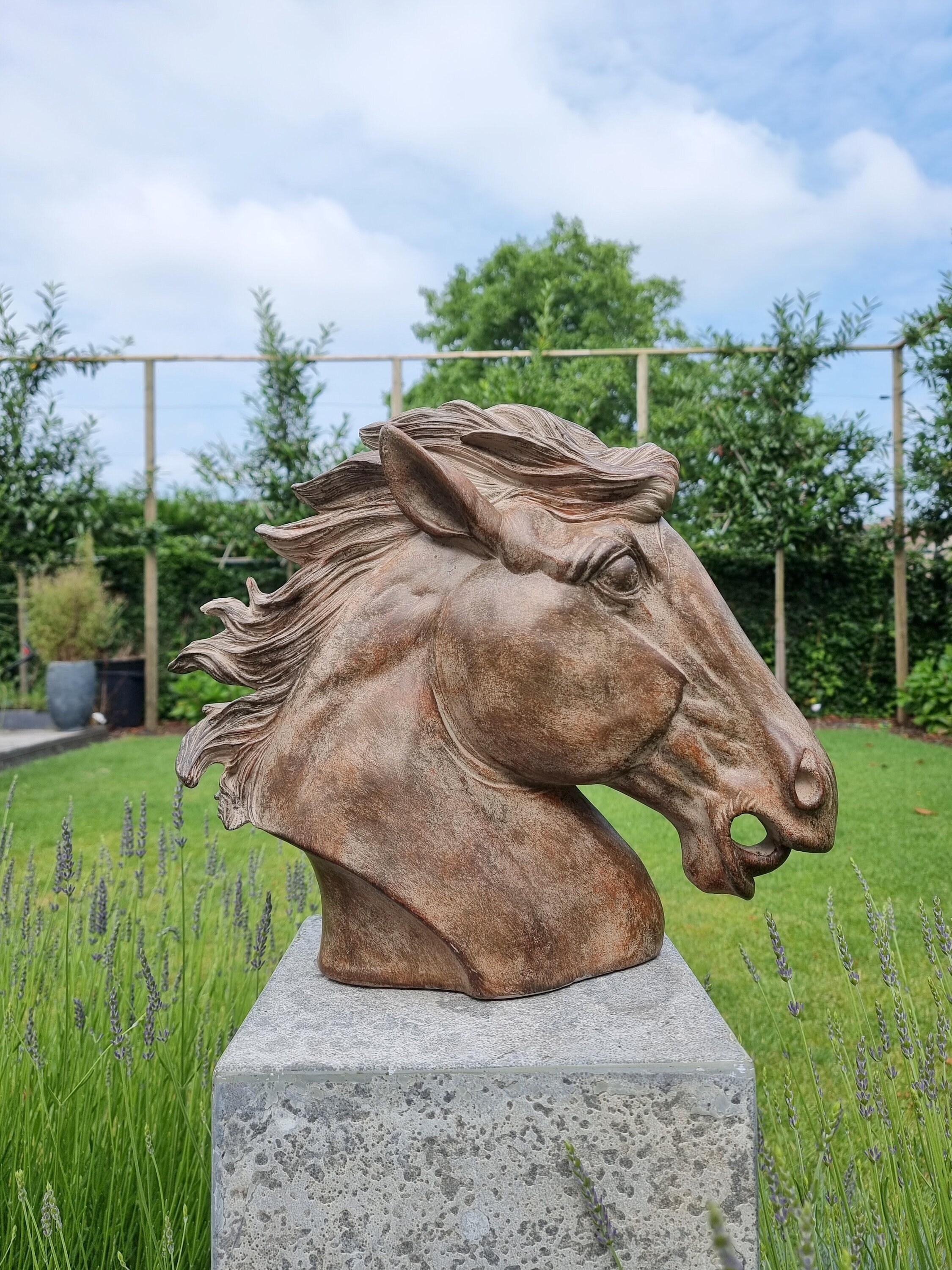 Decorative Horse Head Horse Bust Horse Sculptures
