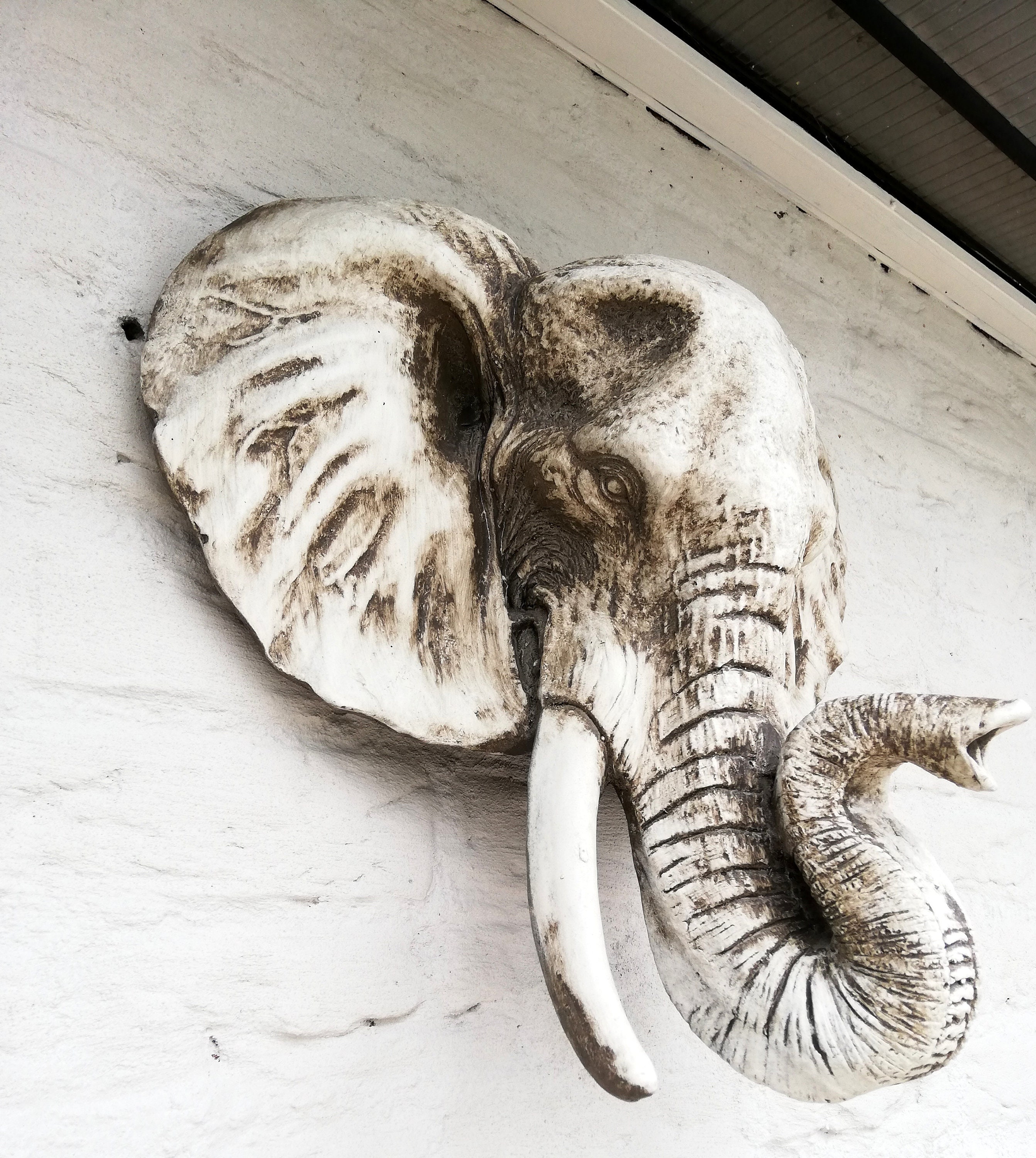Elephant head Wall mounted