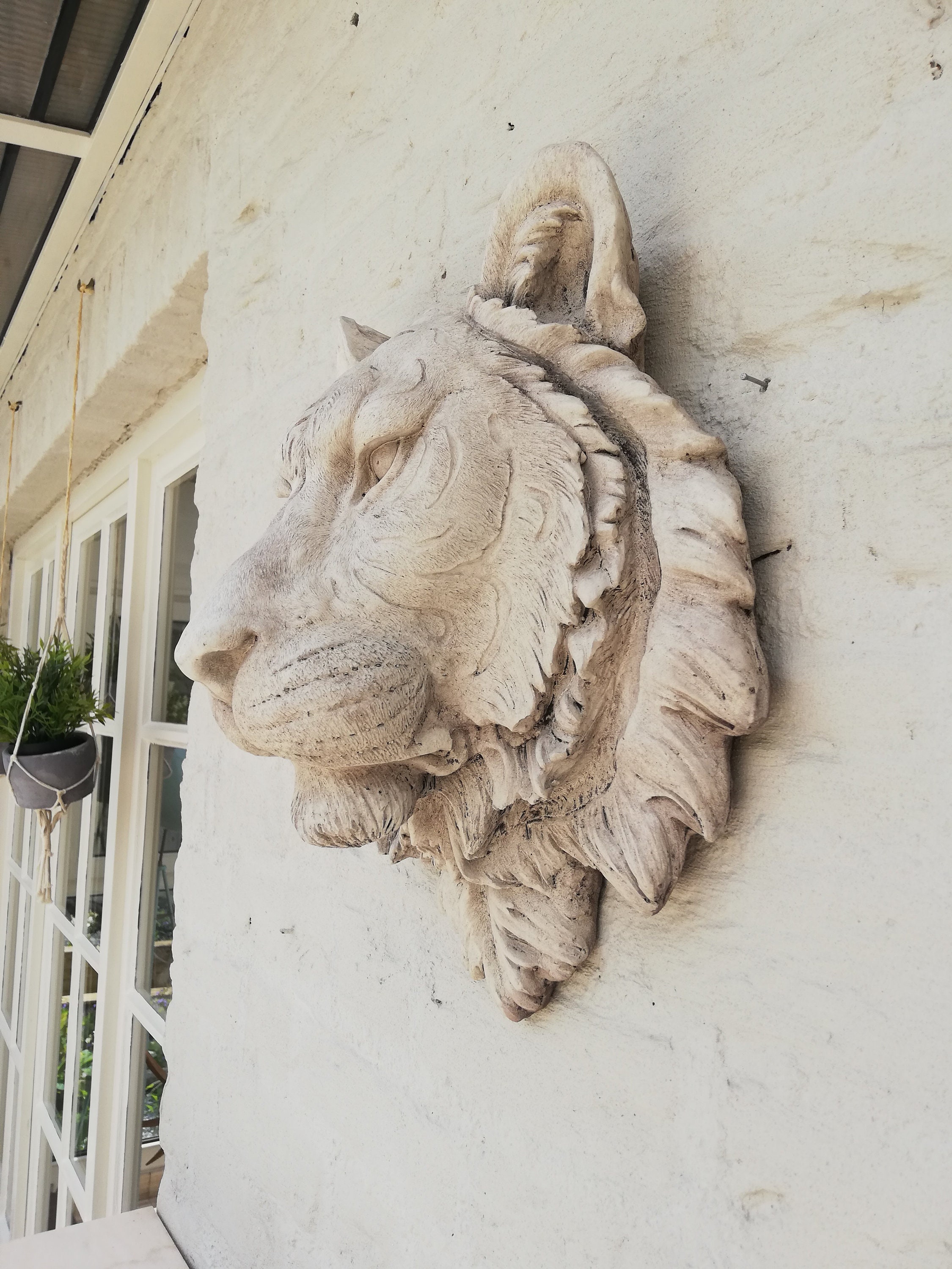 Tiger head Wall mounted