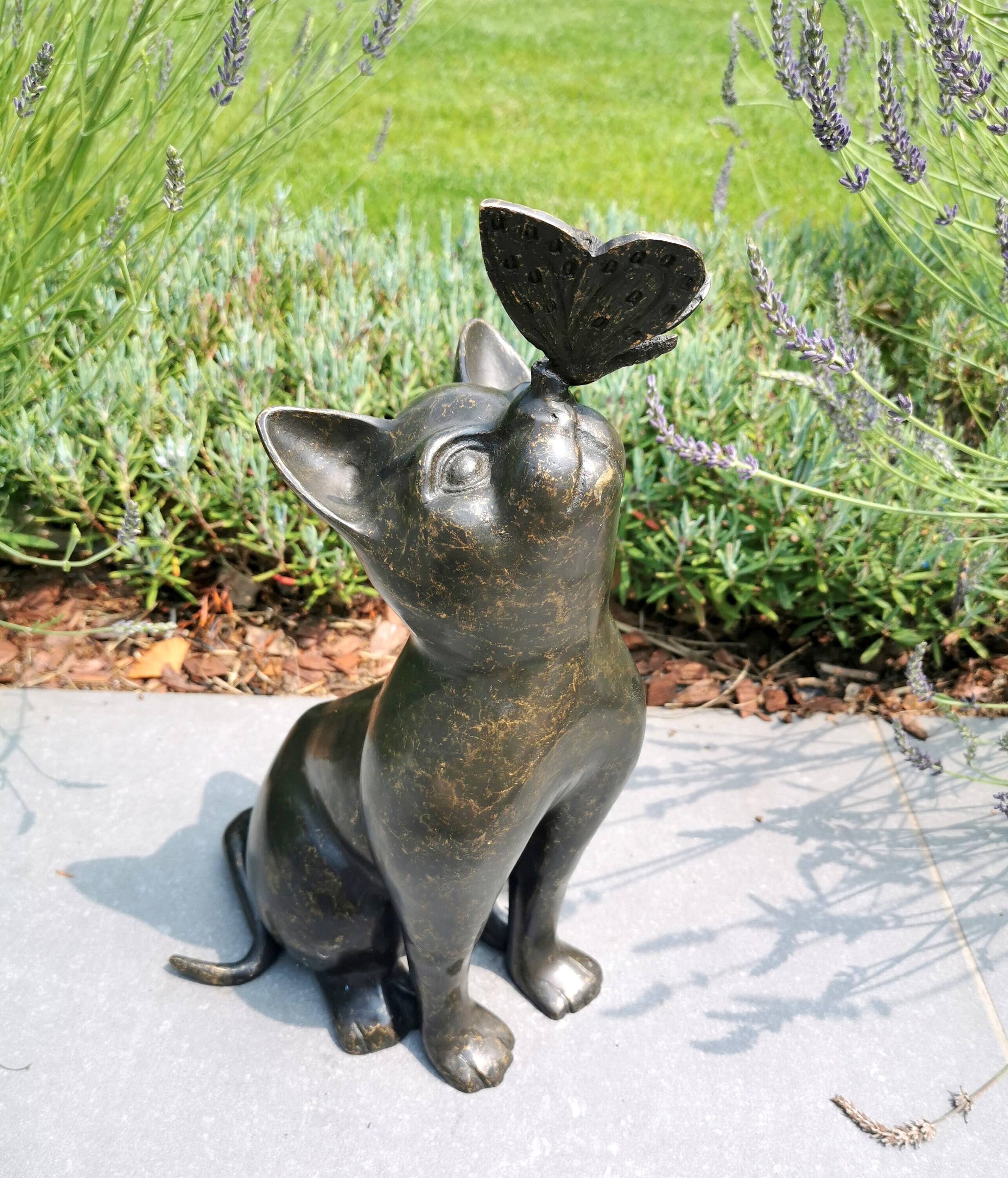 Beautiful bronze sculpture of a cat with a butterfly on it's nose