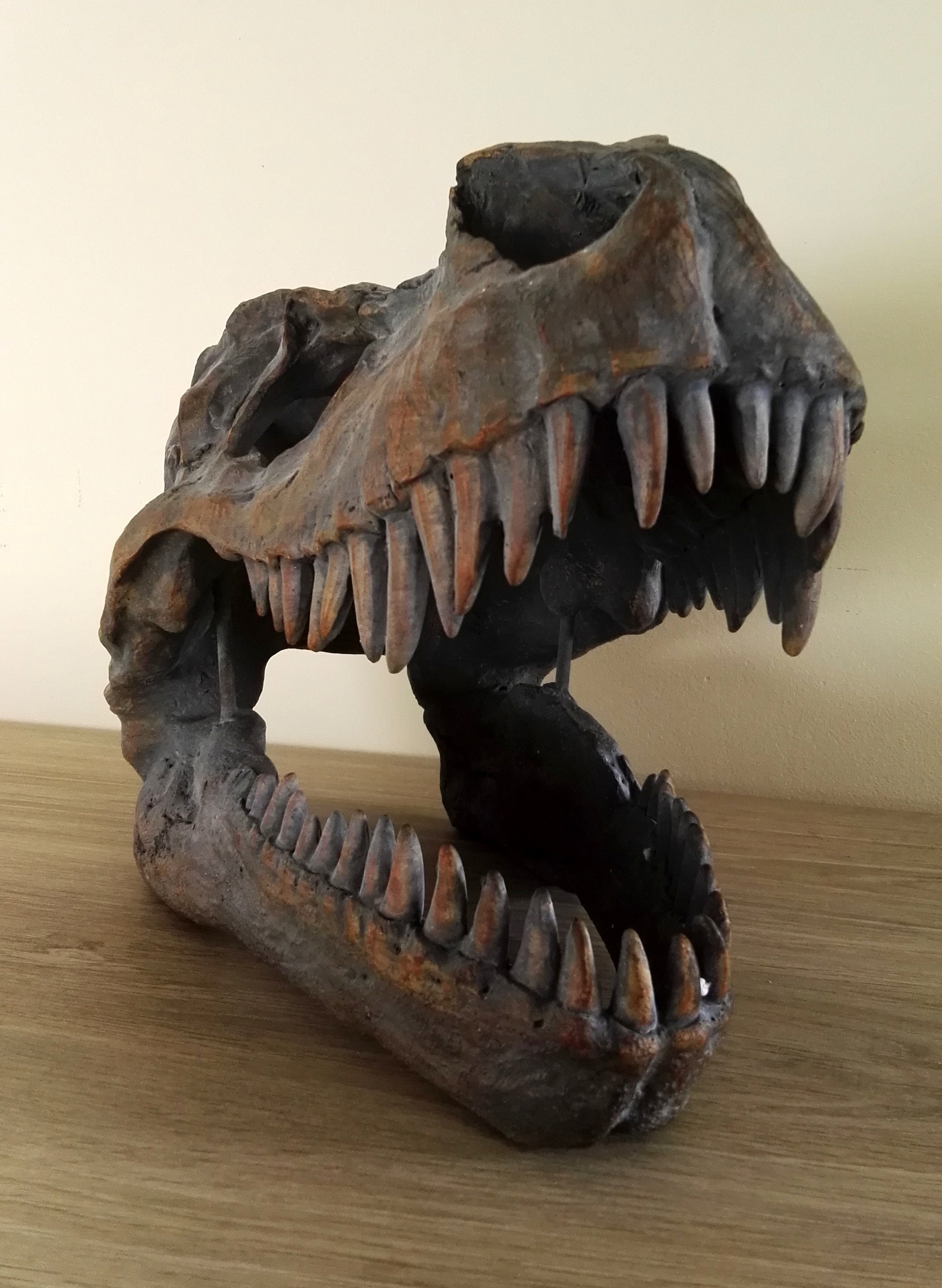 a large trex skull  wall mounted  dinosaur head