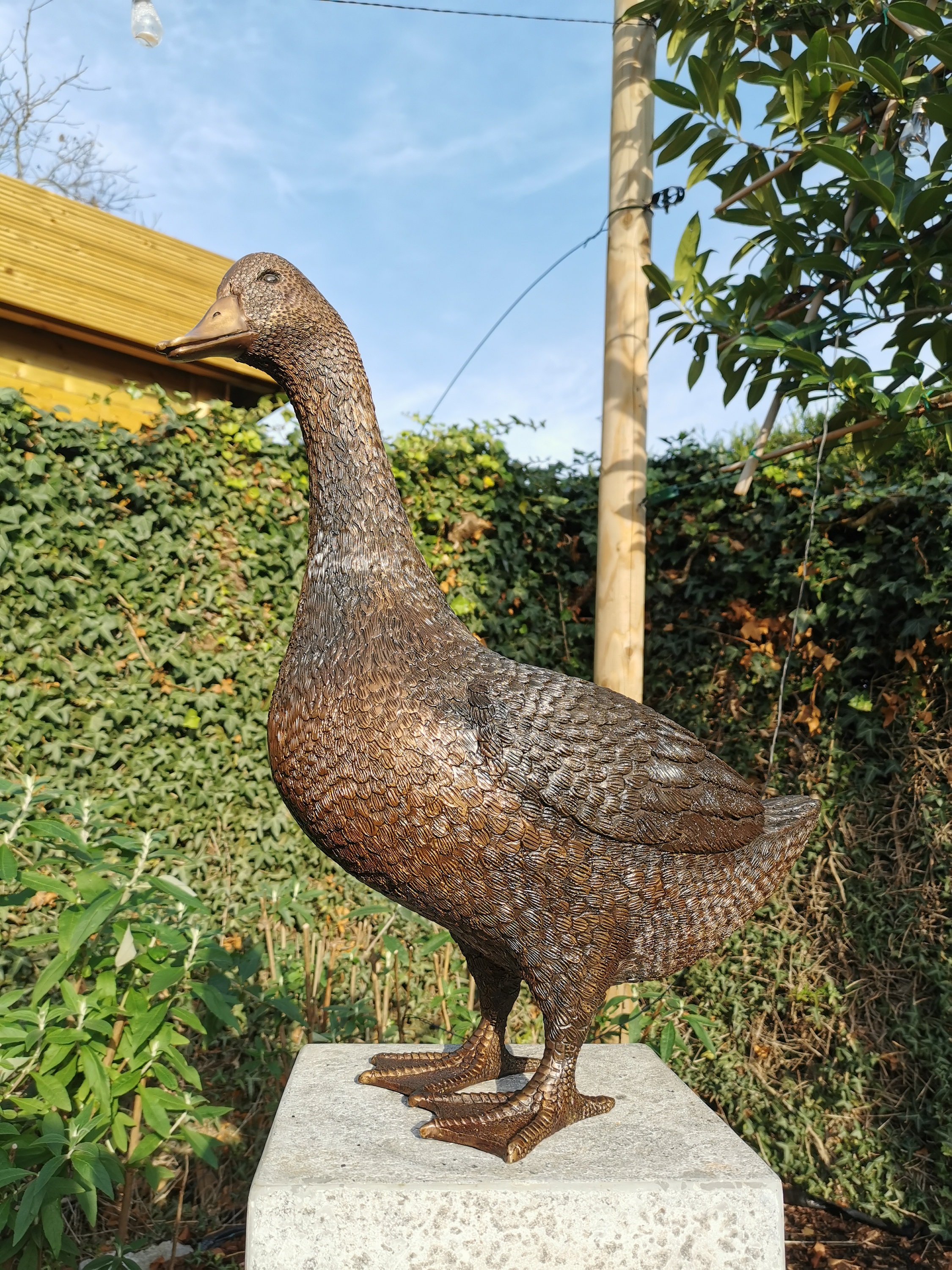 Sculpture oie en bronze - Statue animaux au jardin H. 48cm, vente