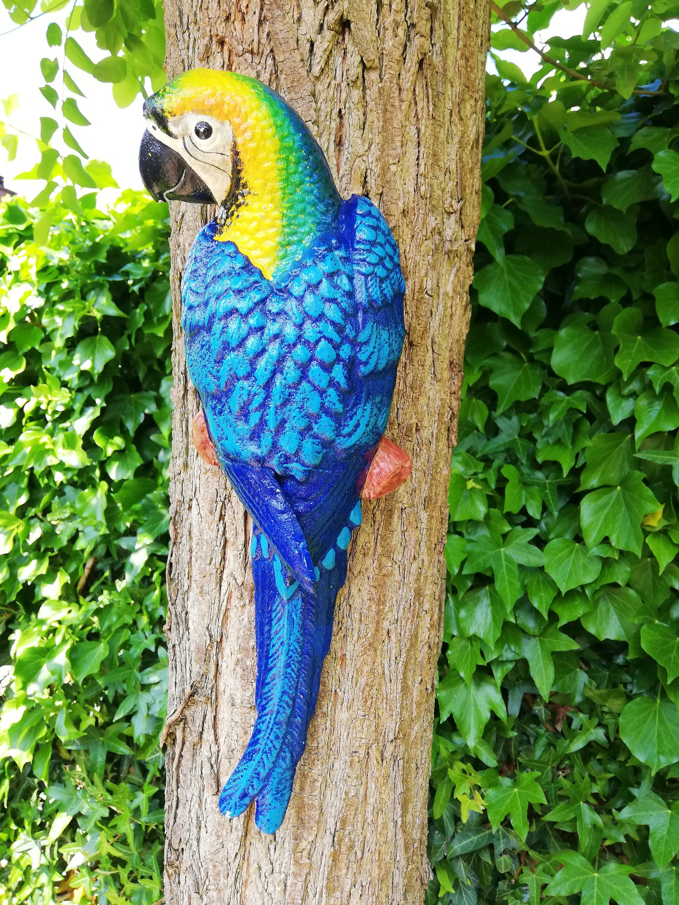 A blue parrot / macaw