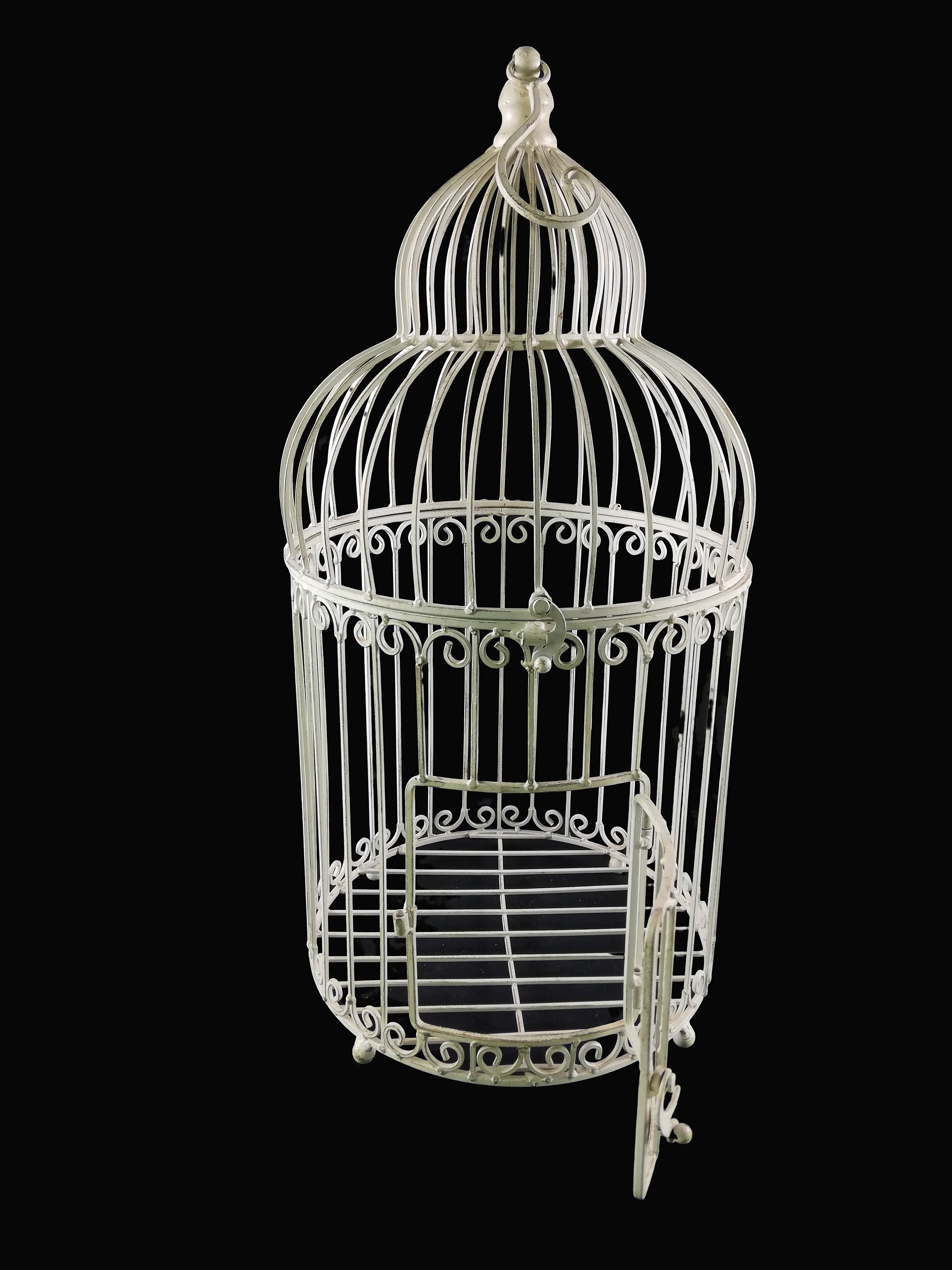 Cage And Aviary Birds Magazine