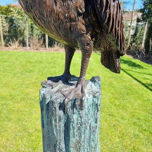 Life-size Pelican Bronze fountain Bronze garden sculptures Lawn art image 3