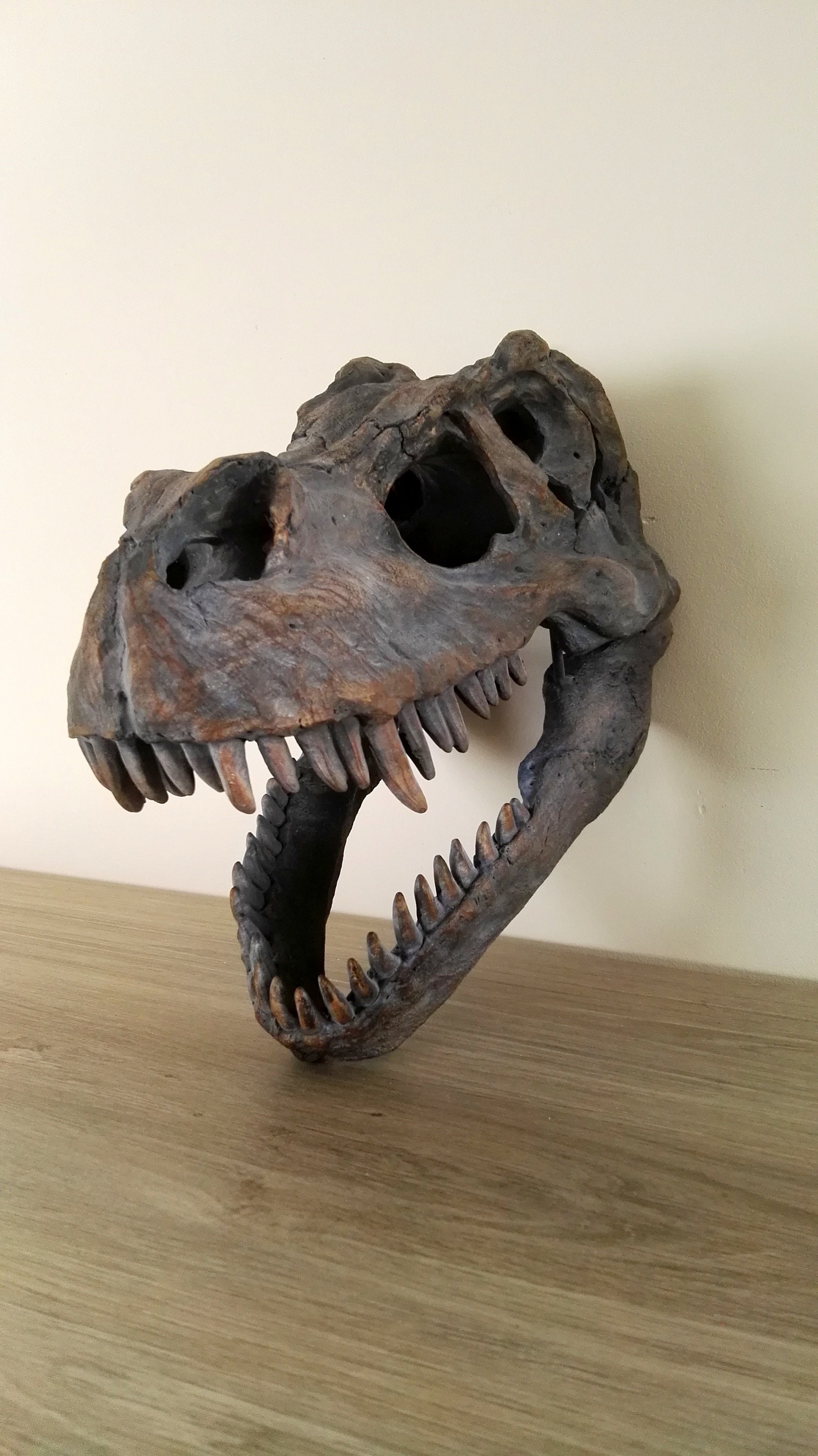 t rex skull model