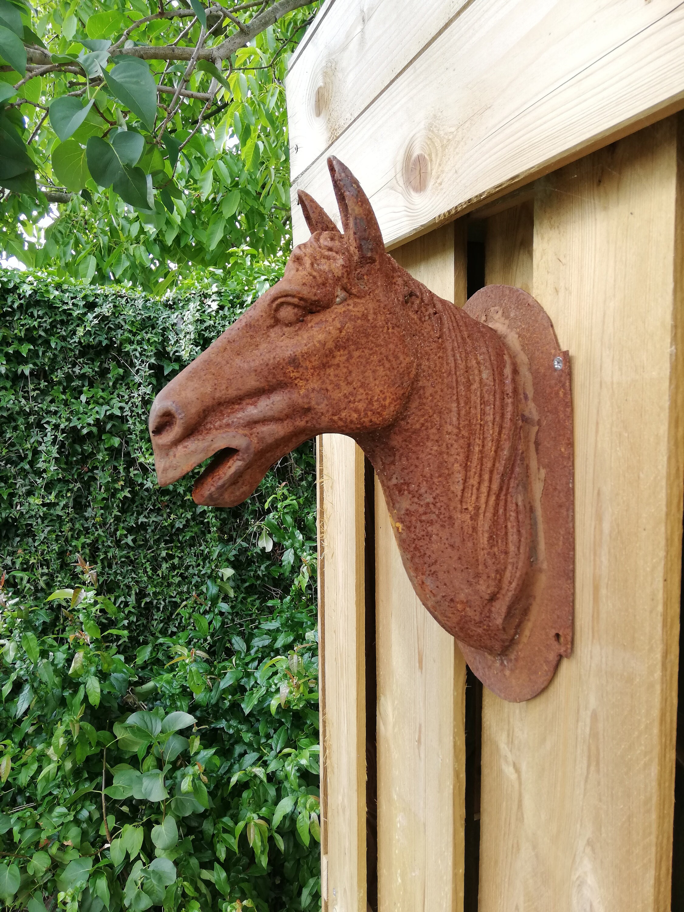 Wall sculpture of a horse head Garden / Patio