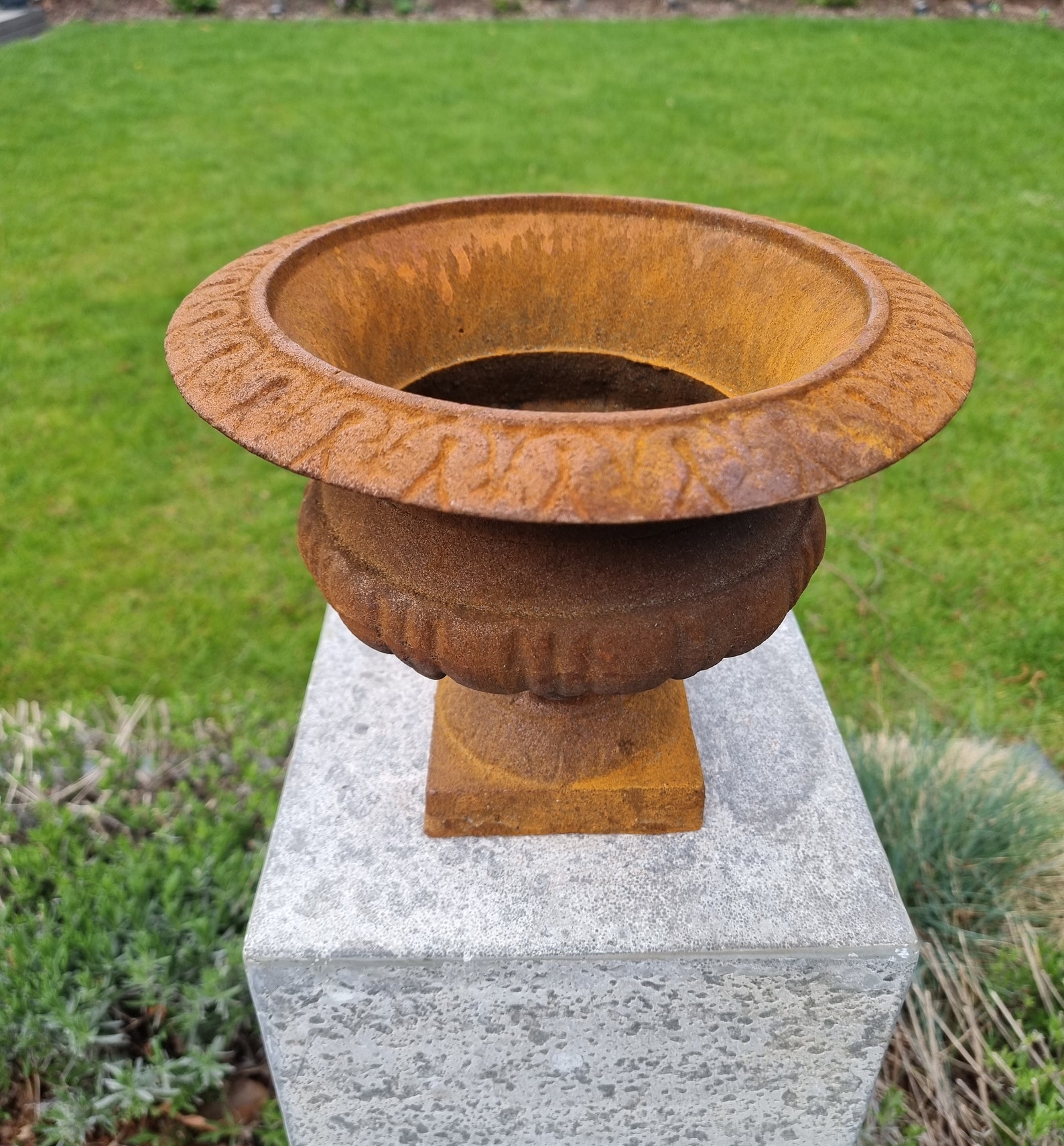 Cast Iron Flower Pot Garden Vase Cast Iron Jardinière Etsy