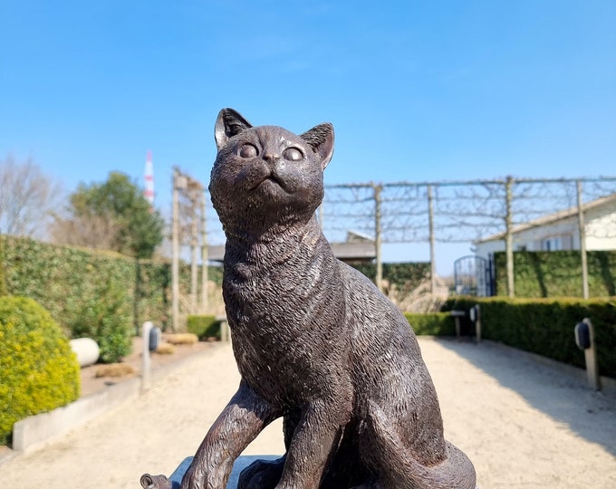 Bronze cat - Cat with fish - Cat catches fish