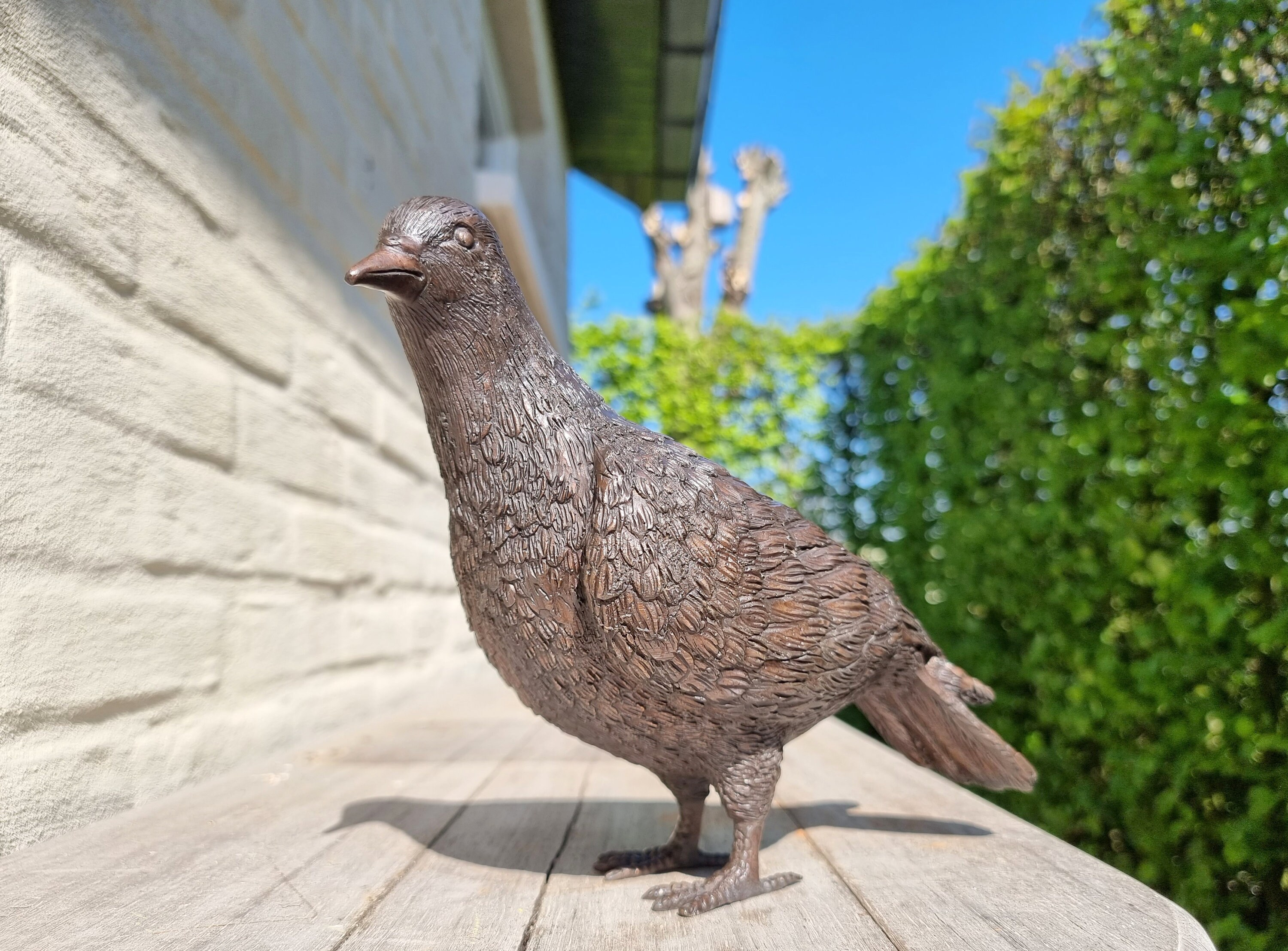 Lifelike bronze pigeon Garden statues Garden ornaments Bronze
