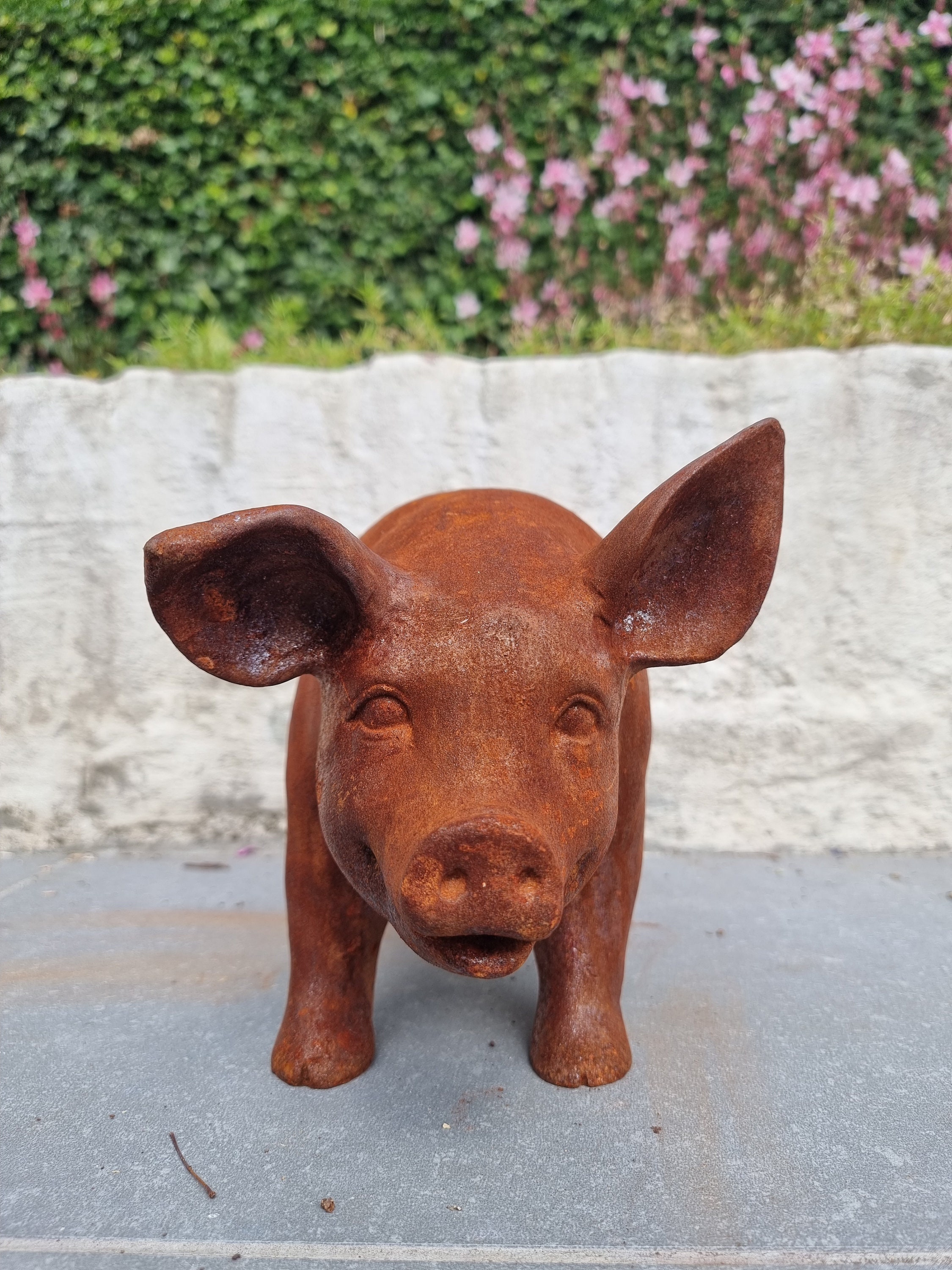 Cast Iron Pig Cast Iron Garden Sculptures Funny Pig Big