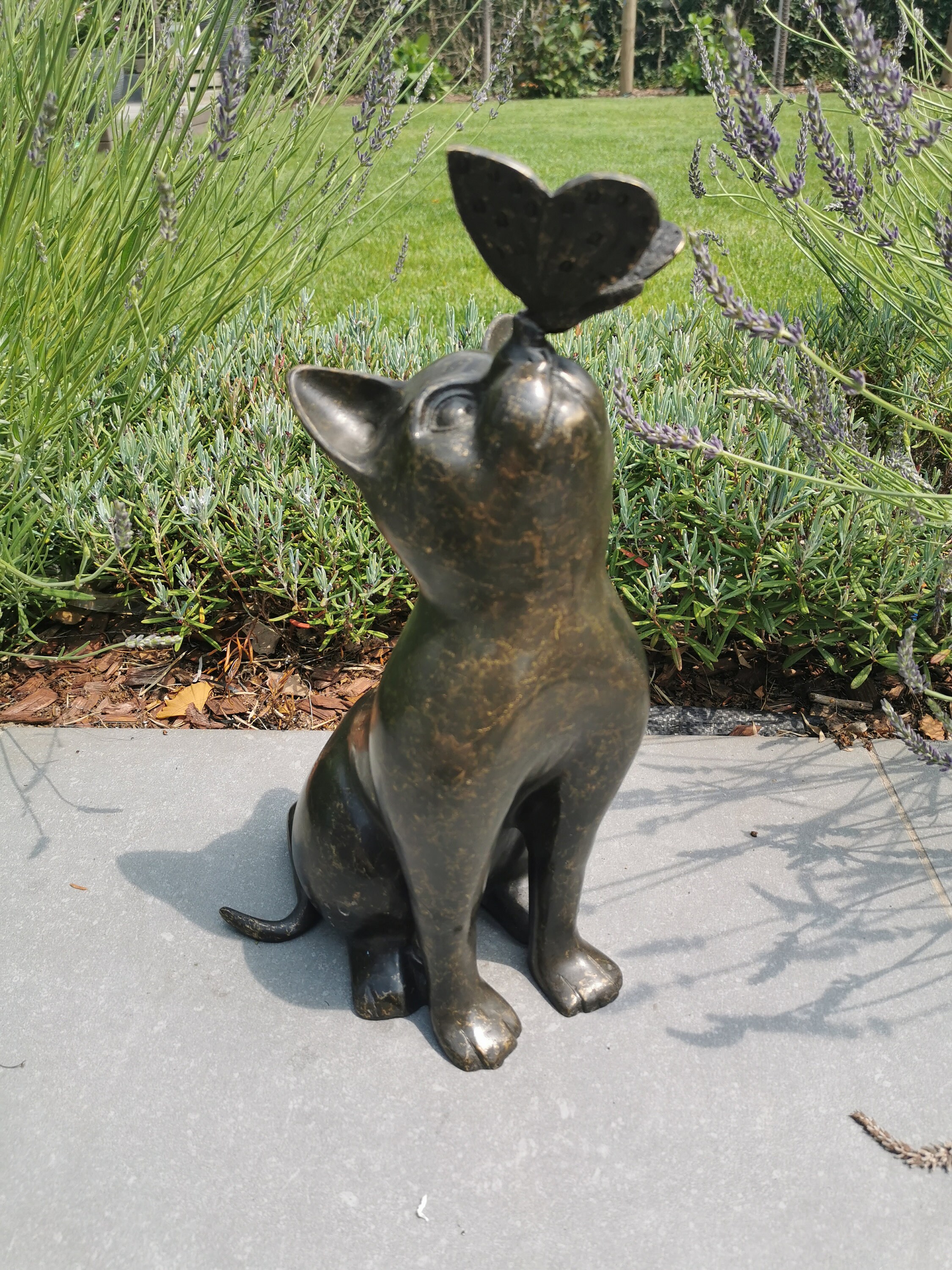 Beautiful bronze sculpture of a cat with a butterfly on it's nose