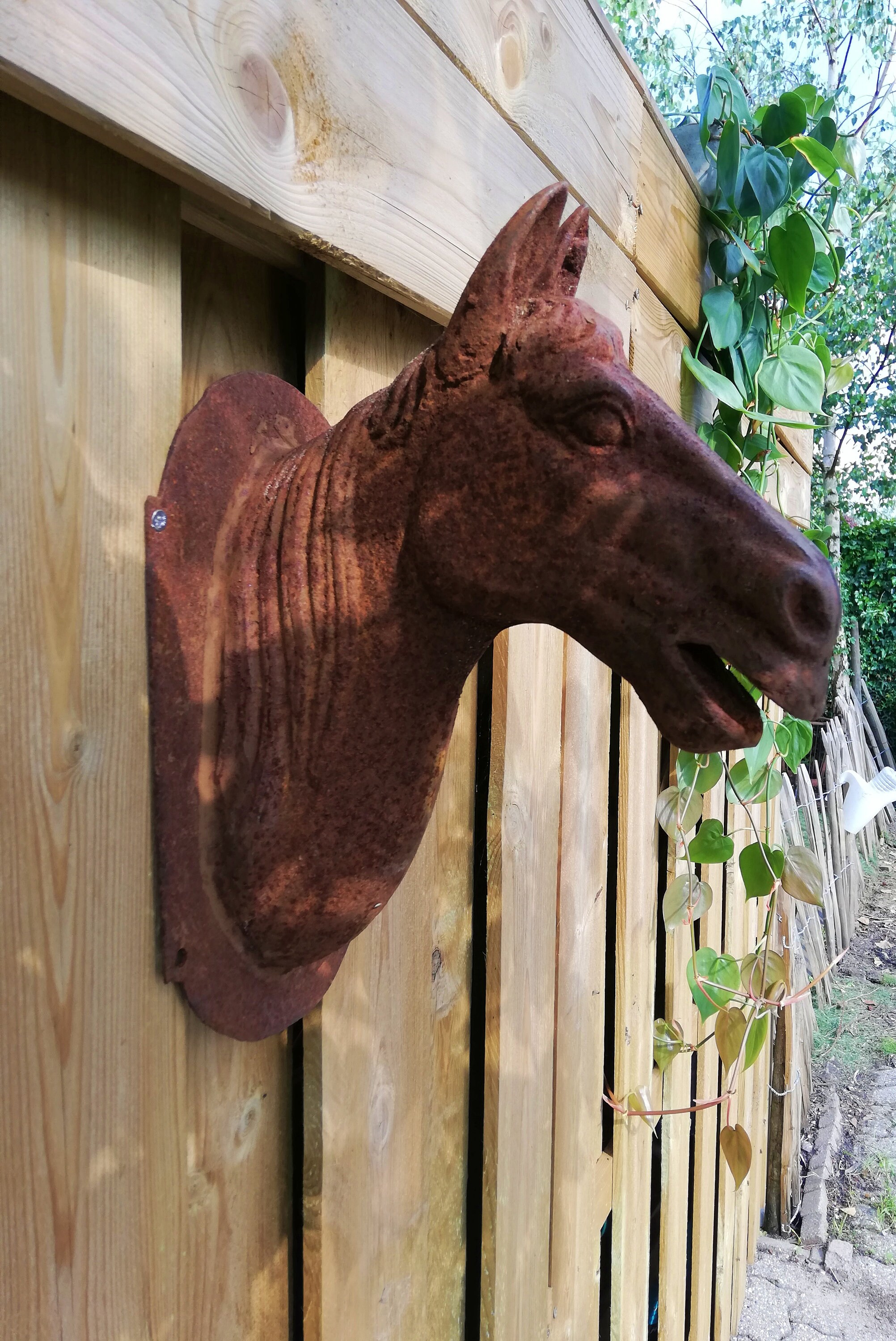 Wall sculpture of a horse head Garden / Patio