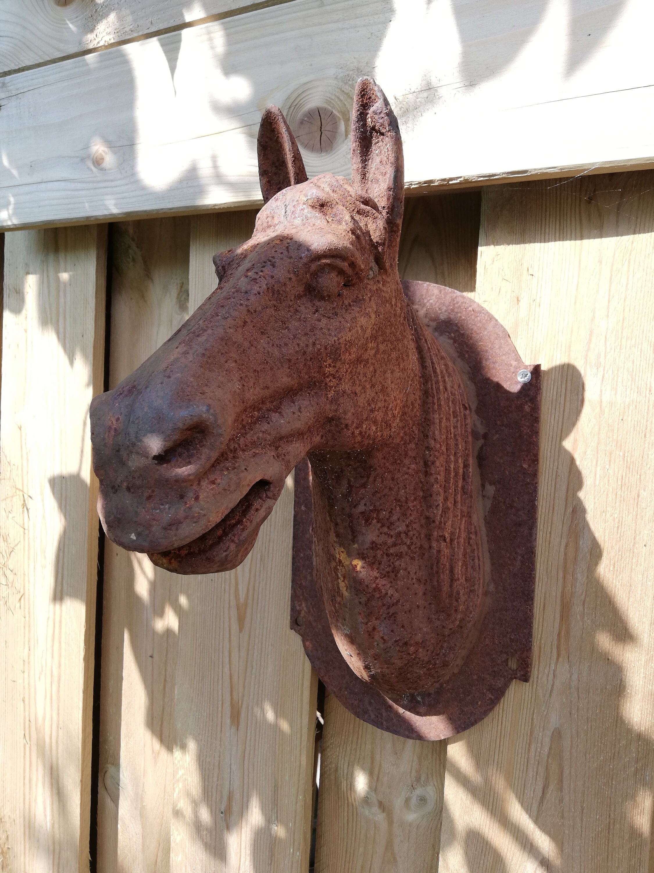 Wall sculpture of a horse head Garden / Patio