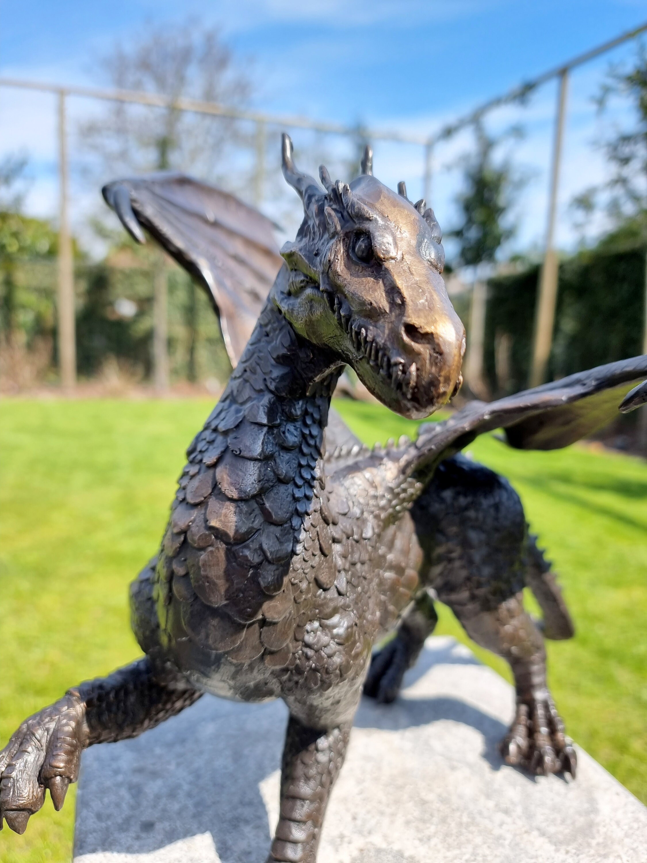 Bronze dragon Bronze garden art fantasy art garden sculpture
