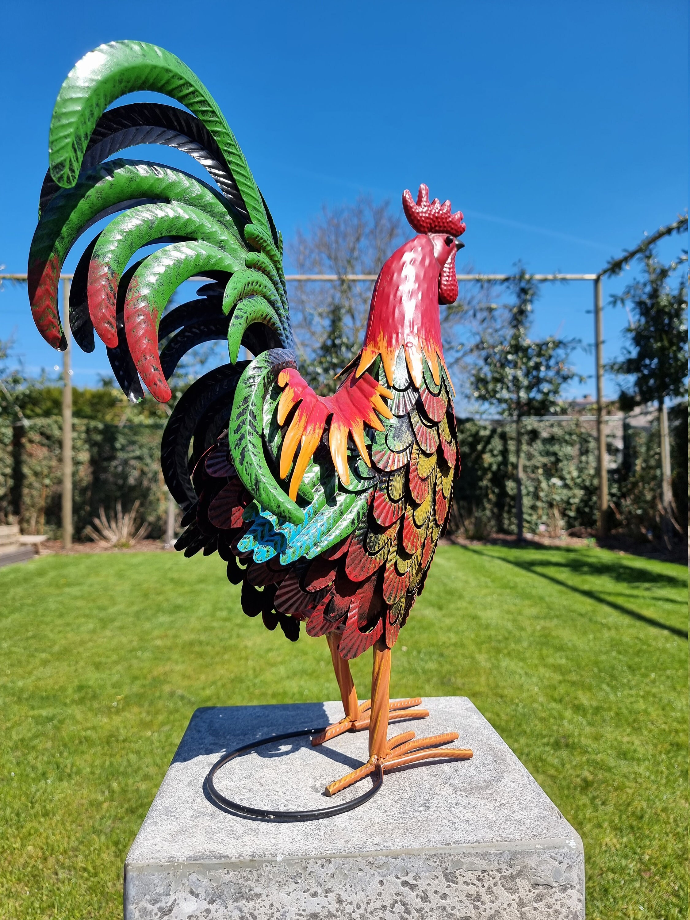 Metal Chicken ( Garden Sculpture)
