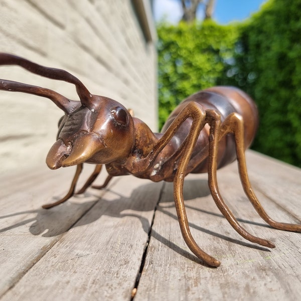 Fourmi de bronze - Grande fourmi réaliste - Insecte de bronze