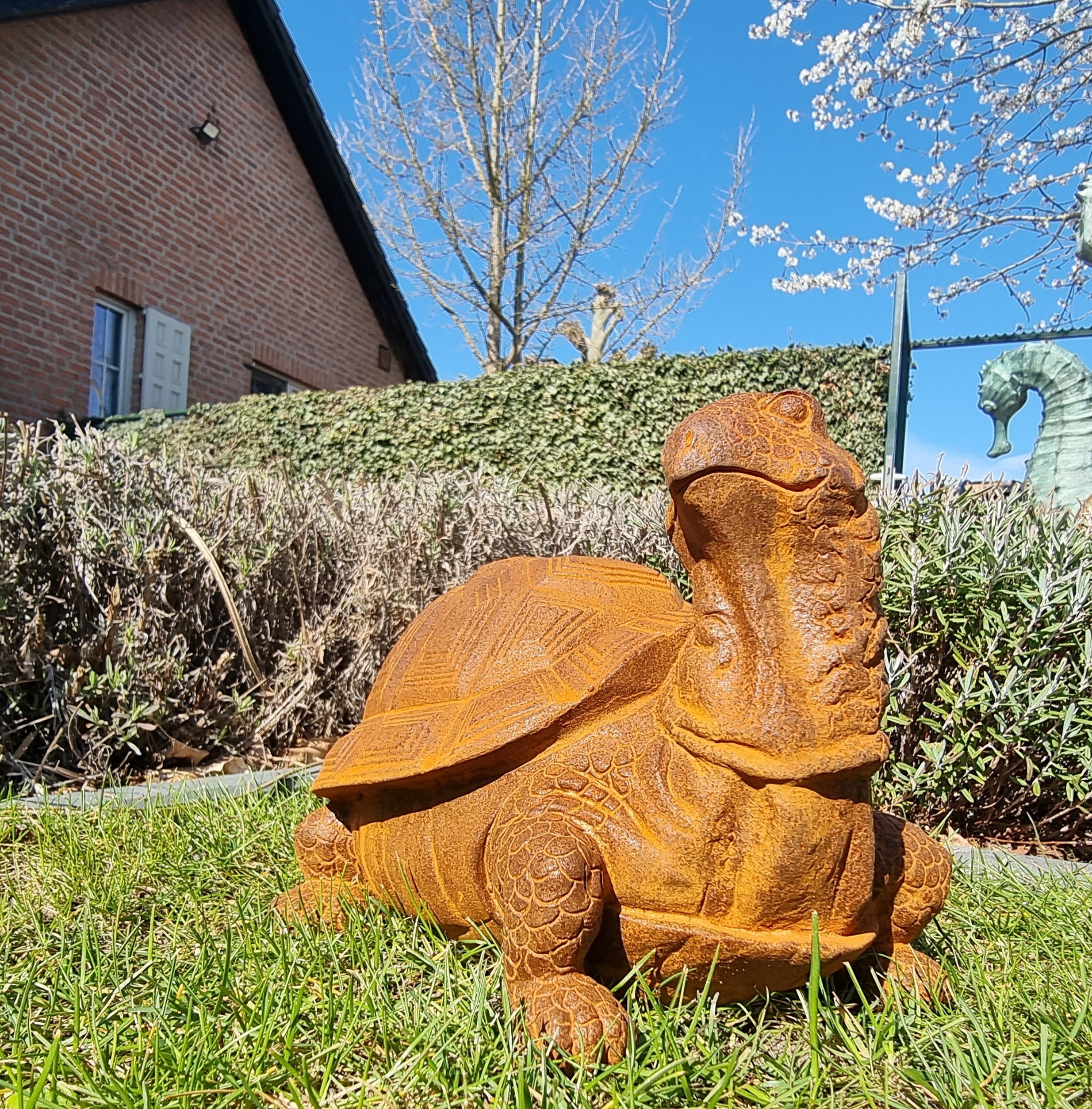 Cast iron turtle Charming garden decoration cast iron garden animals