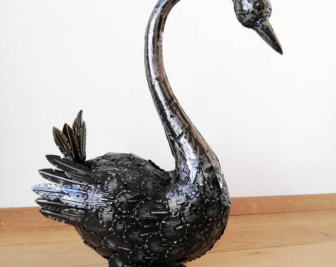 Amazing unique black swan