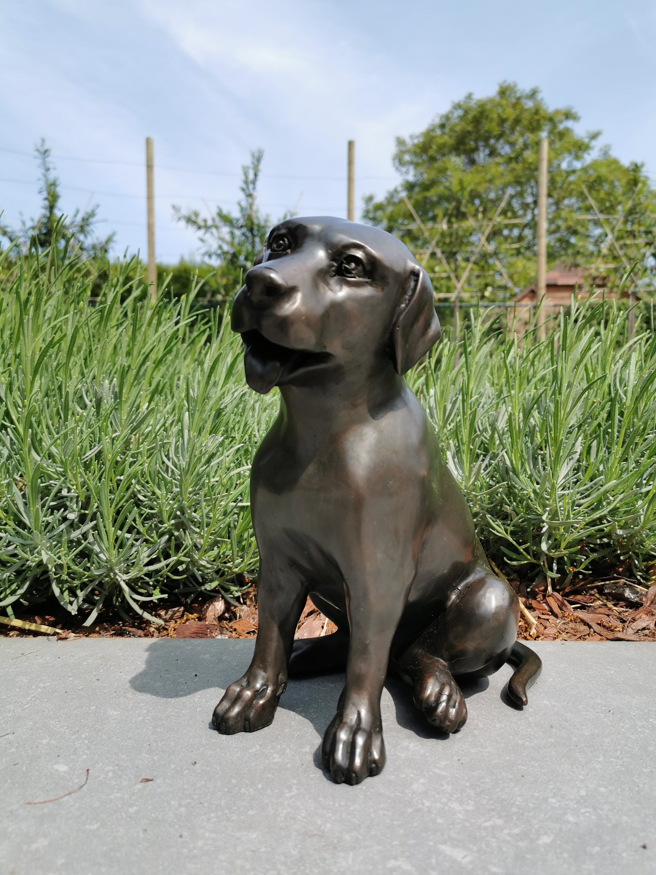 Beautiful bronze statue of a sitting dog labrador Bronze garden decor