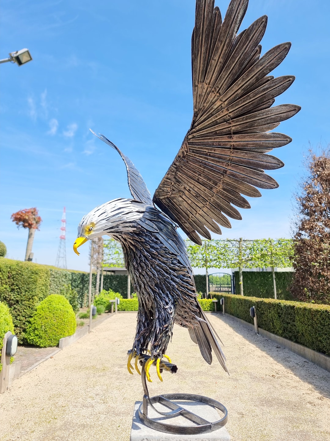 Large Iron Eagle Flying Eagle Garden Sculpture Whitetailed Eagle Gift