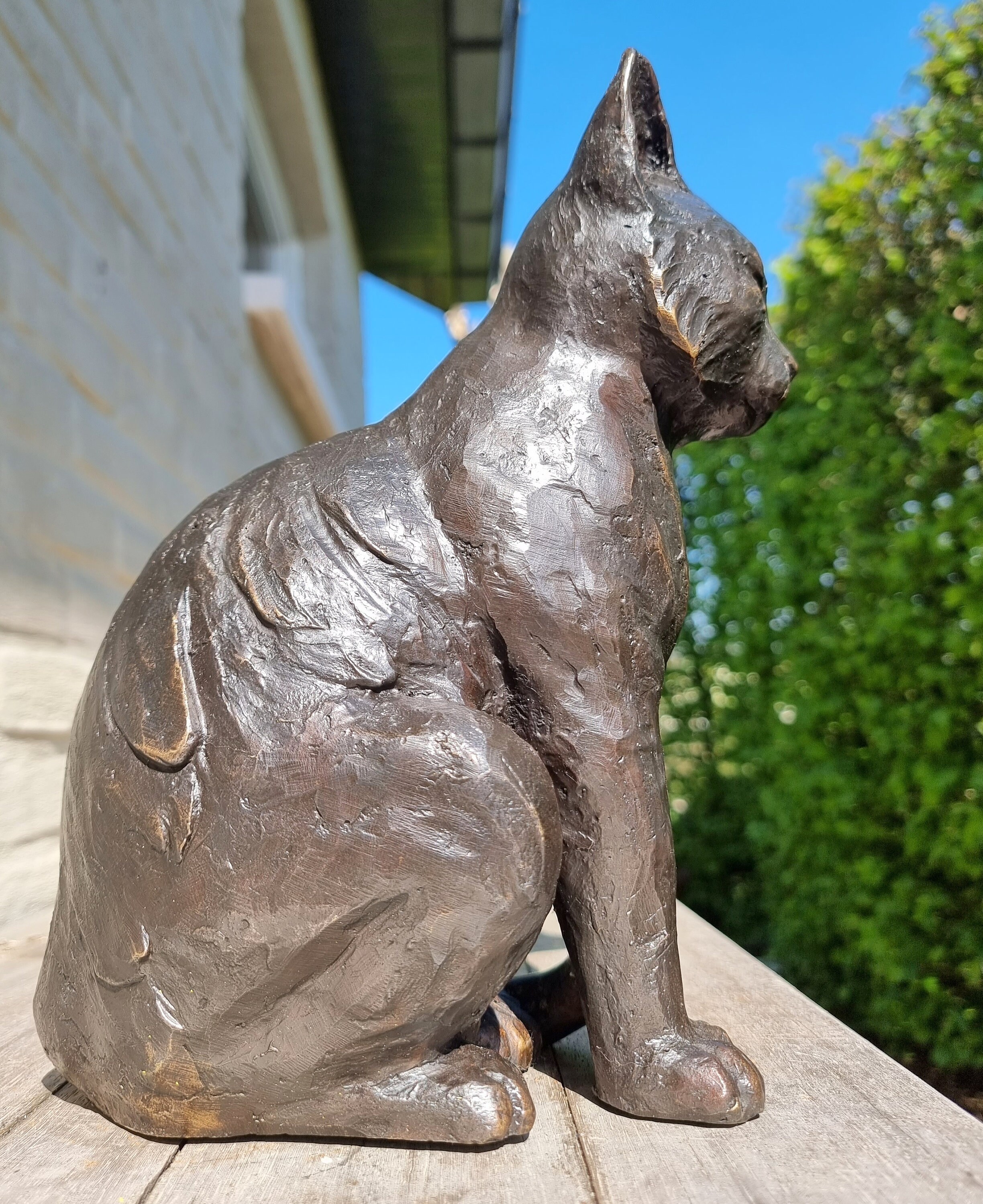 chat-bronze-interieur-exterieur