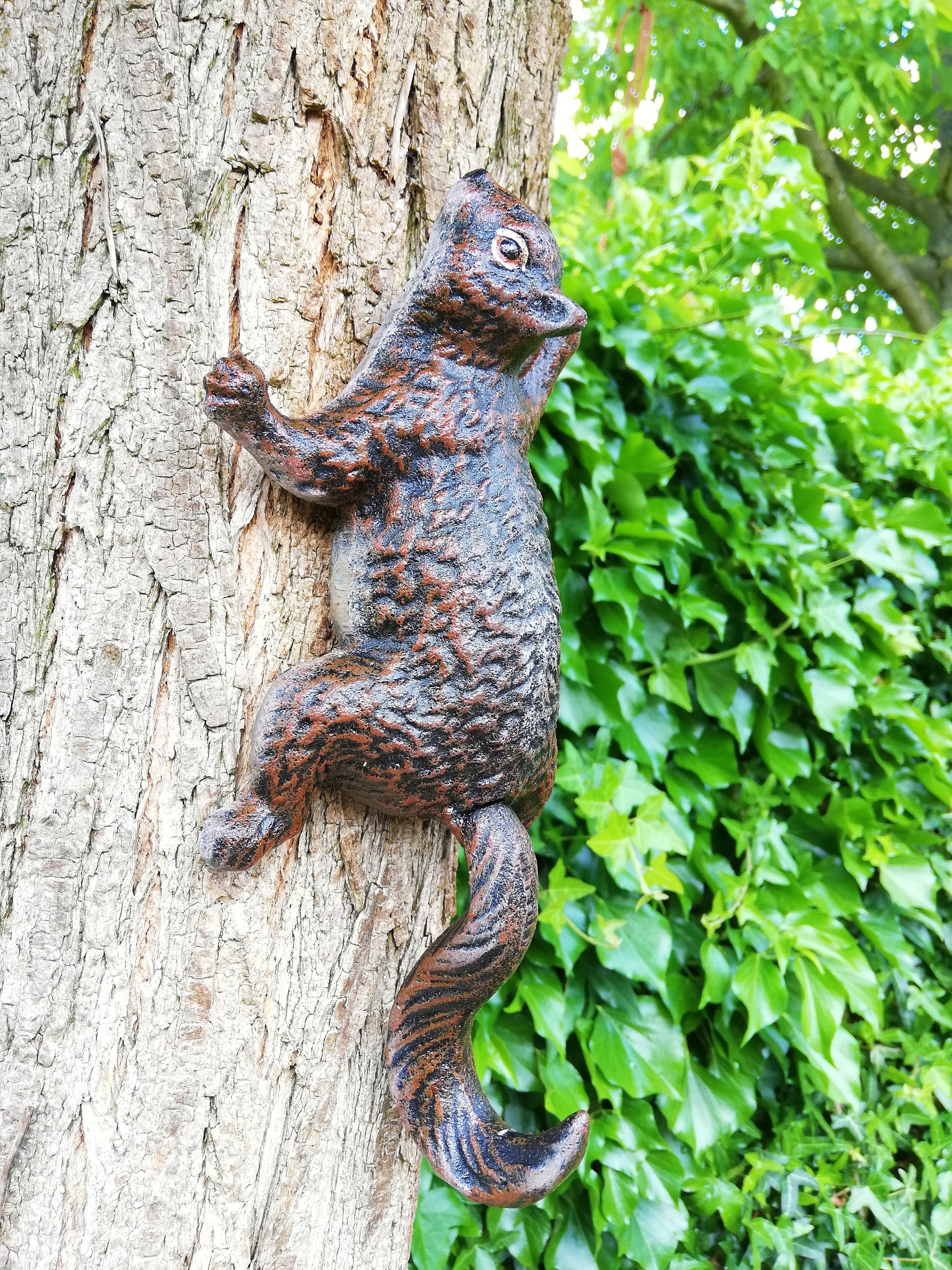 A climbing squirrel