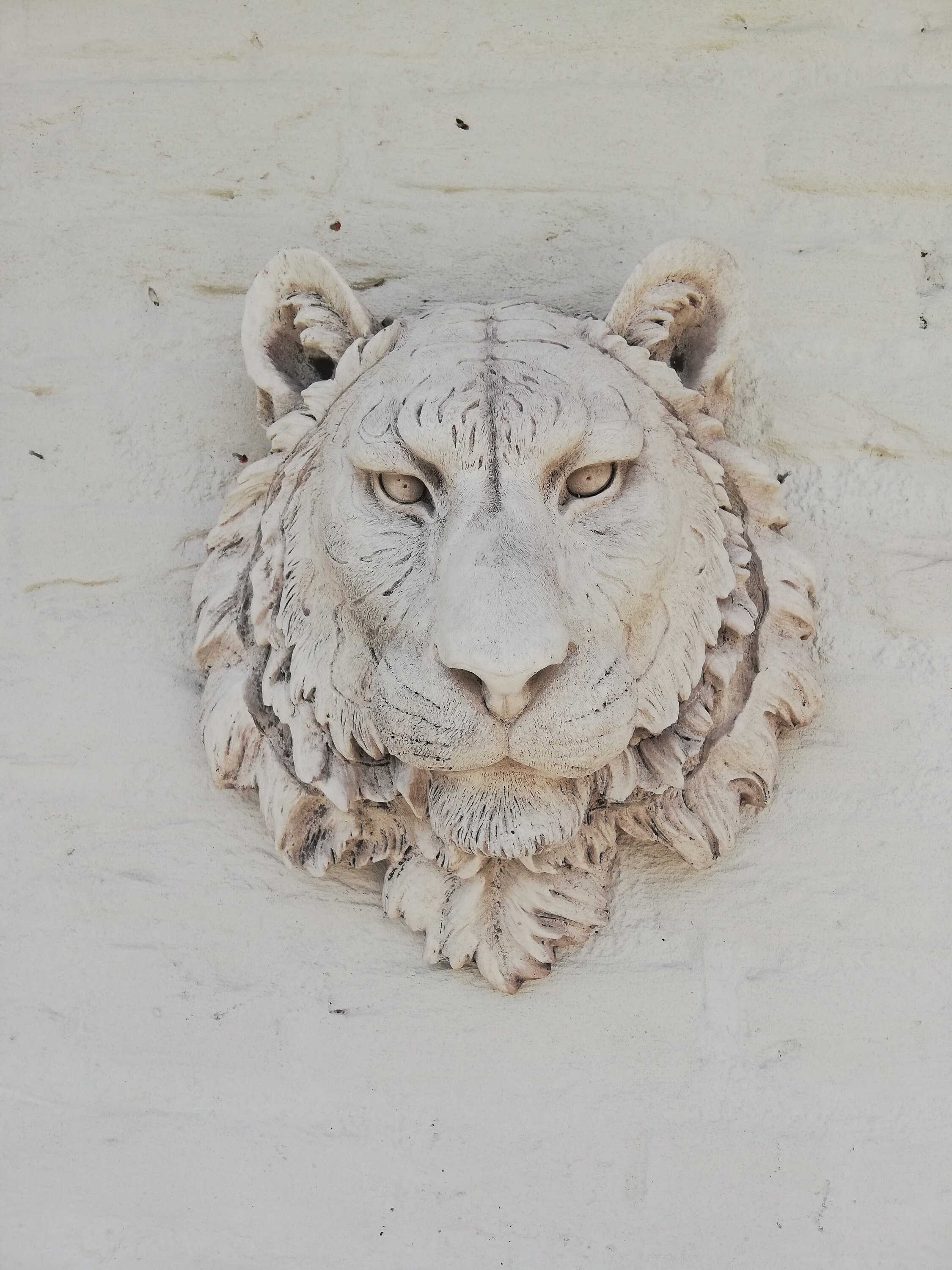 Tiger head Wall mounted