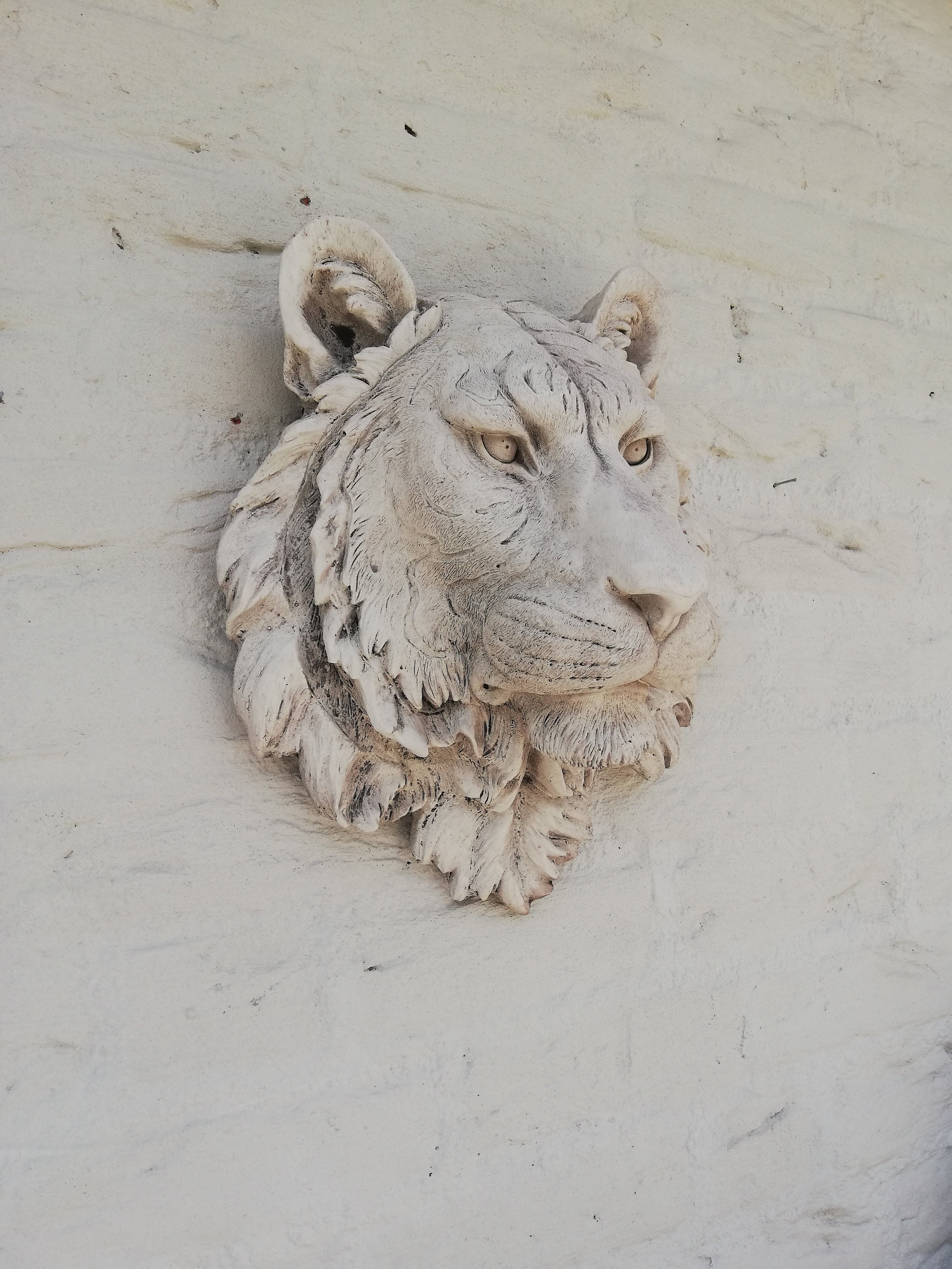 Tiger head Wall mounted
